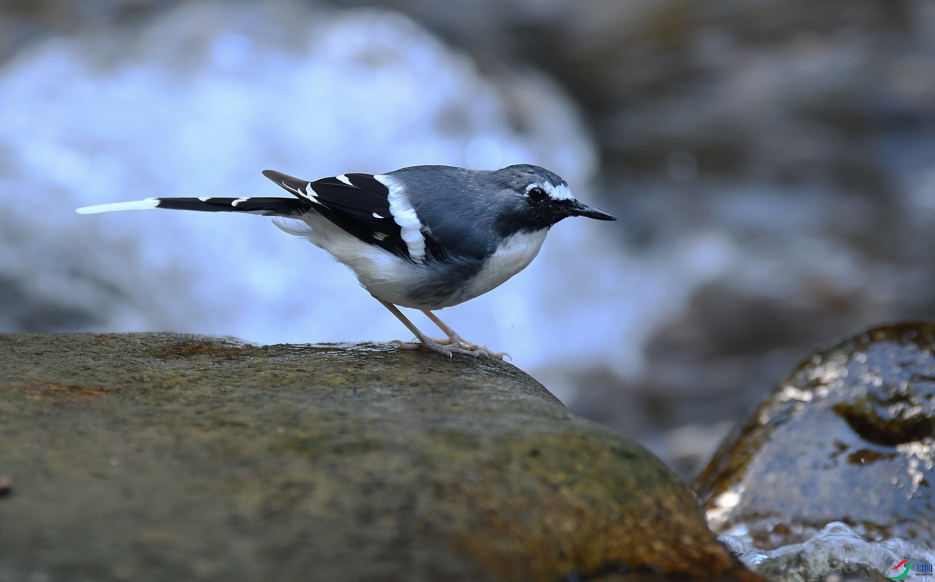 DSC_9617.jpg