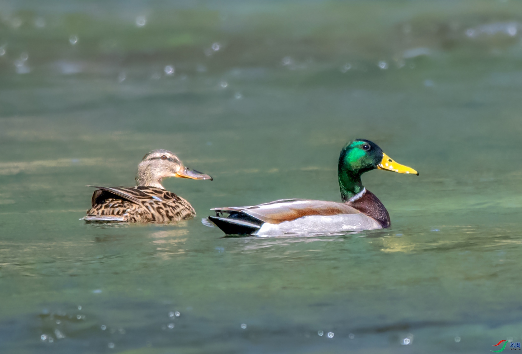 DSC_8996_��ͼ�� ���� 2.jpg