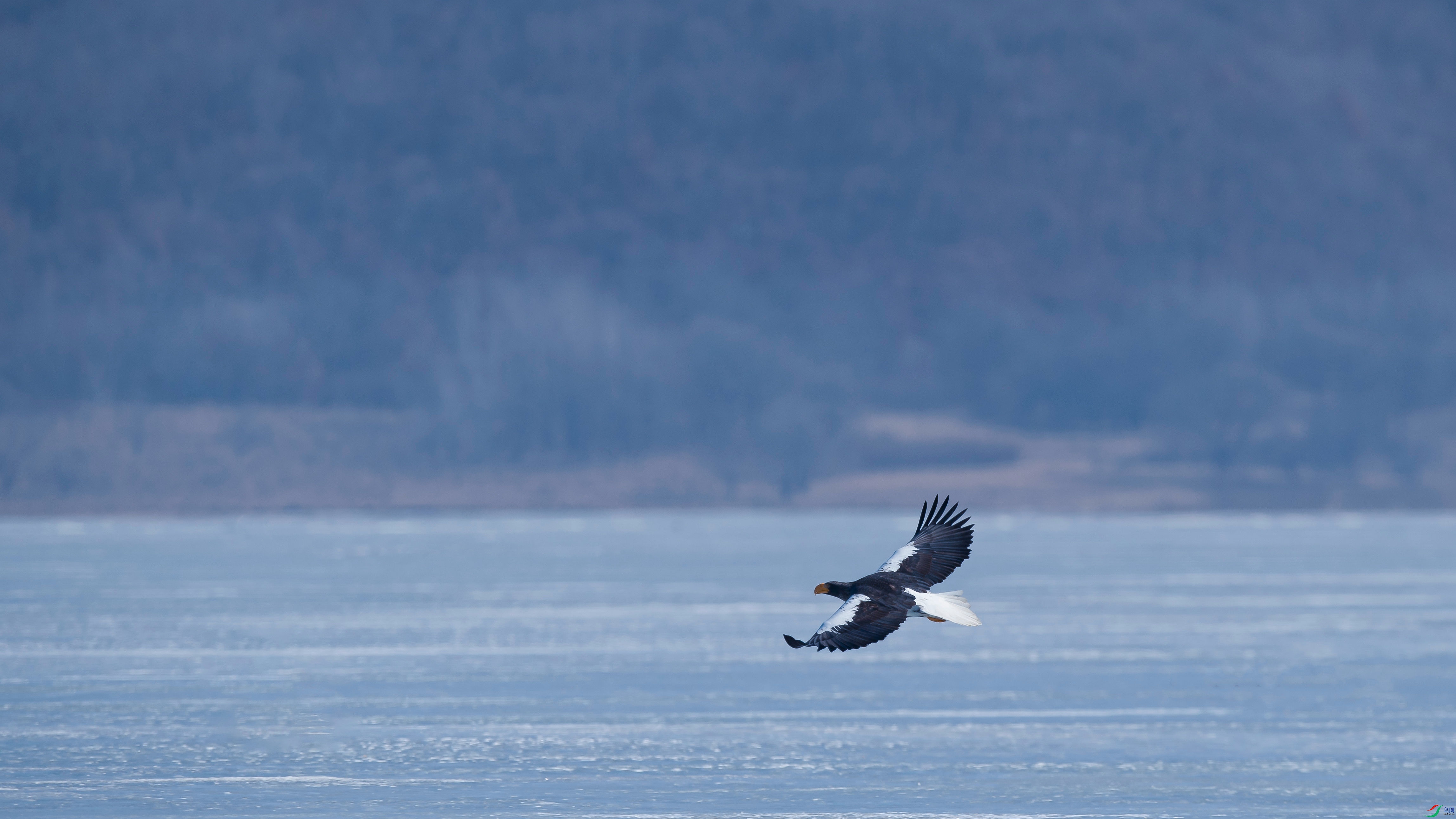 _DSC5350_����.jpg