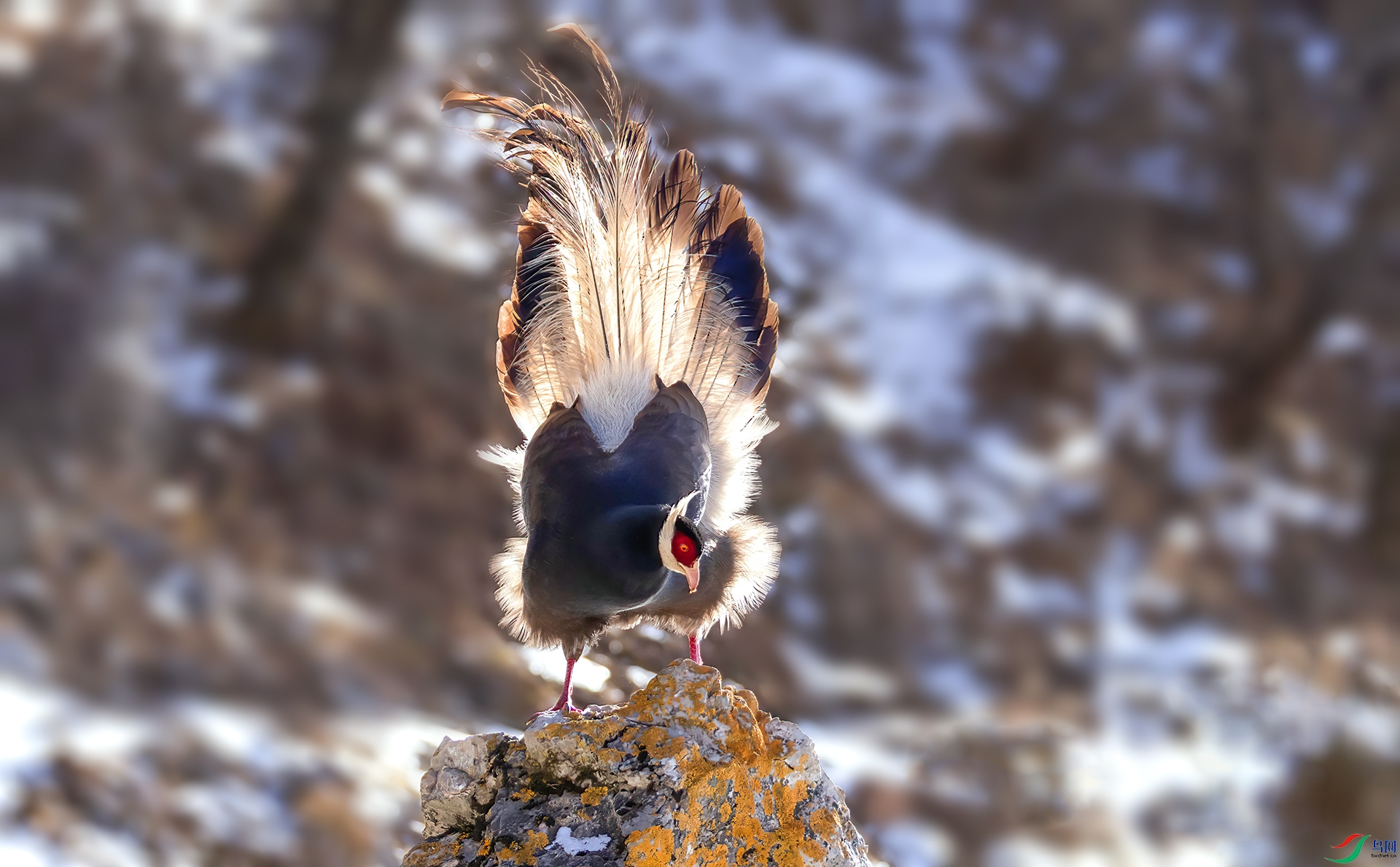 _07A1983 ����-Sh-----1 .jpg