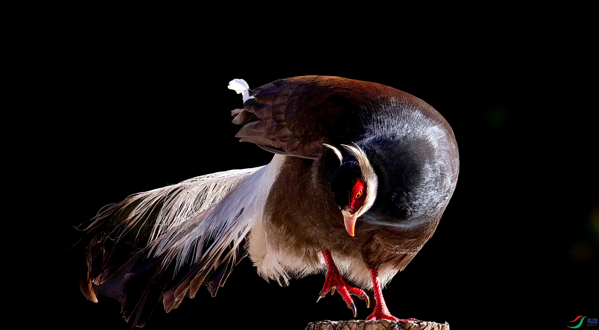 _07A0777 ����-Sh-----1 .jpg