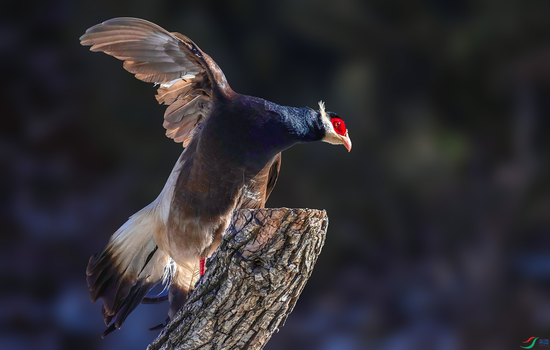 _07A0711 ����-Sh----1 .jpg