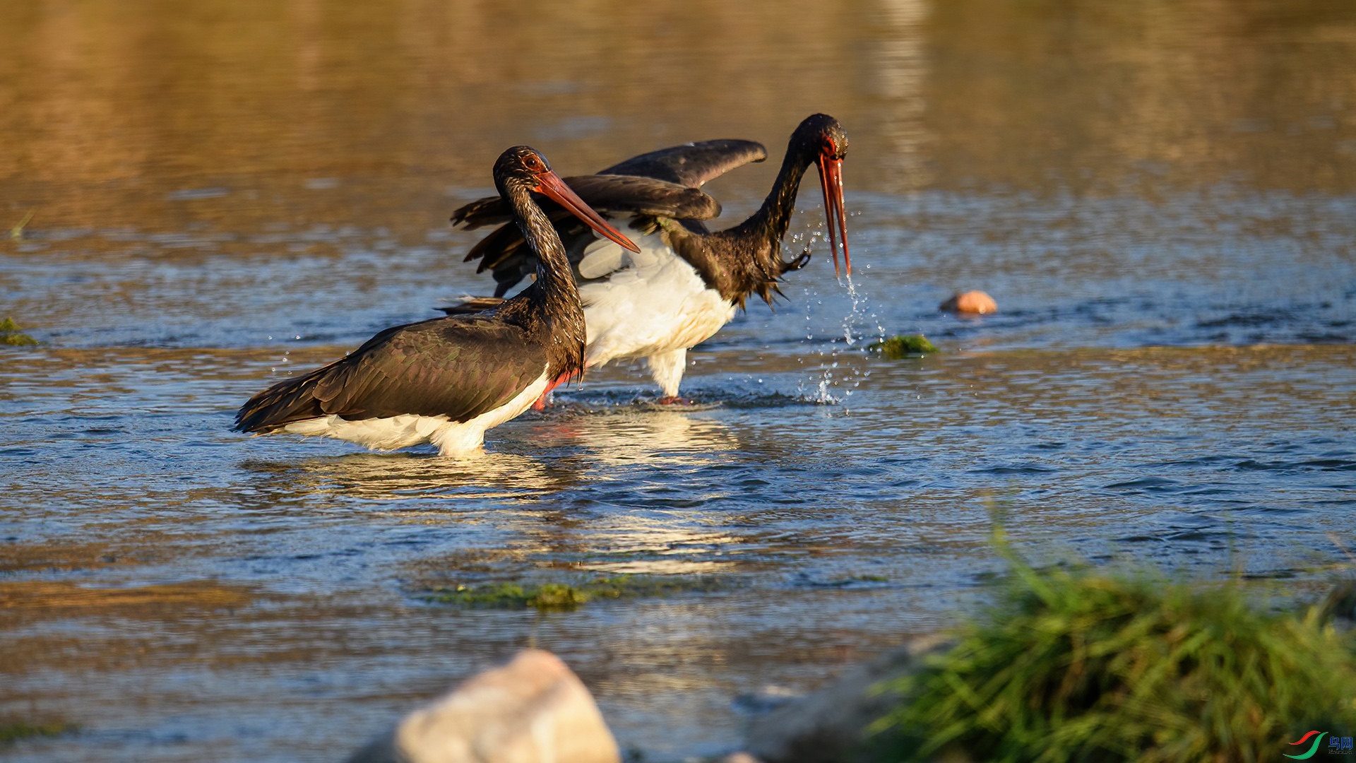 DSC_6294-20241116 ��.jpg