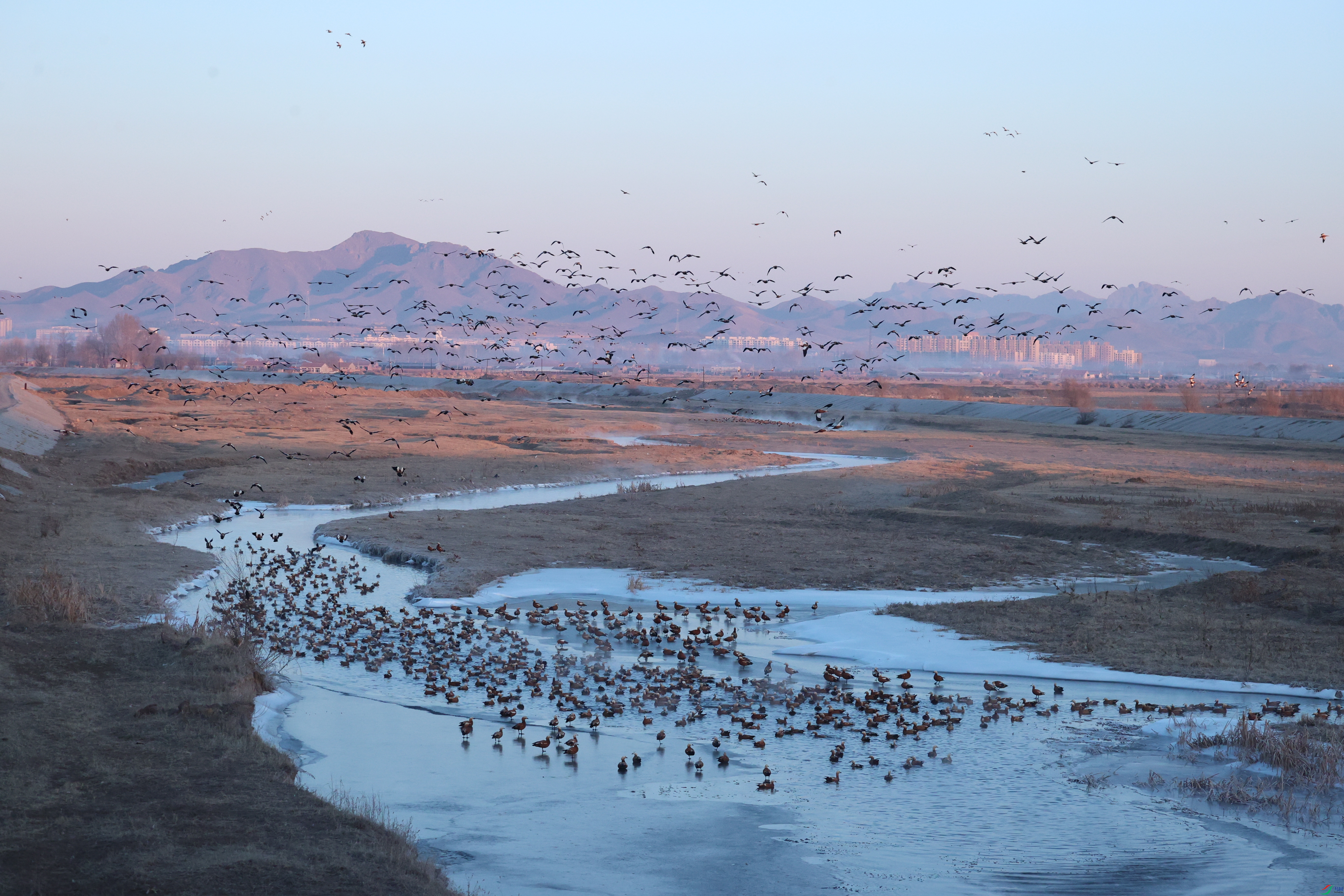 8403��ש����