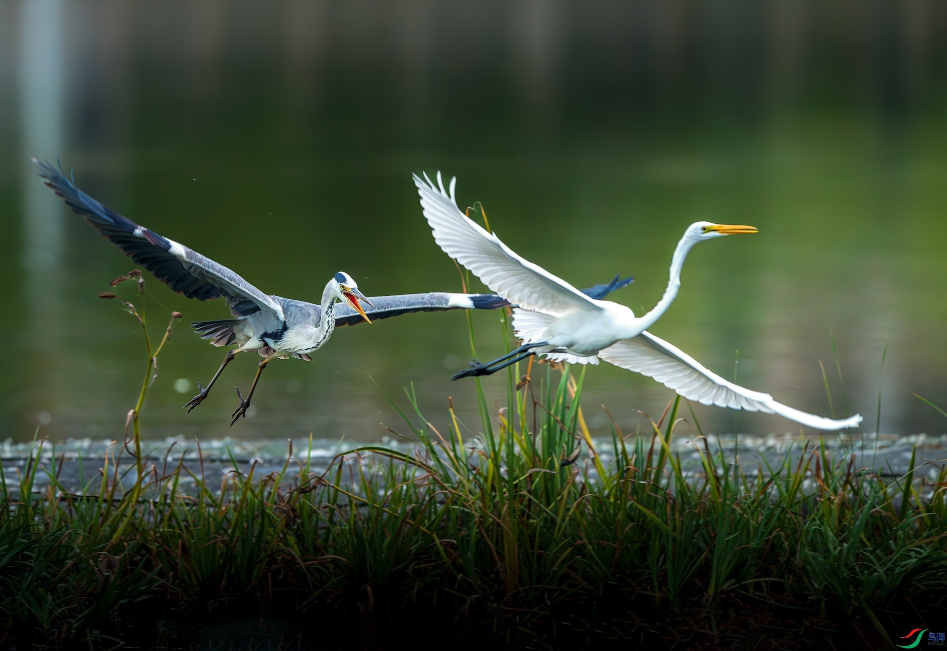 2_DSC5241-����ǿ-NR-1-1 2.jpeg