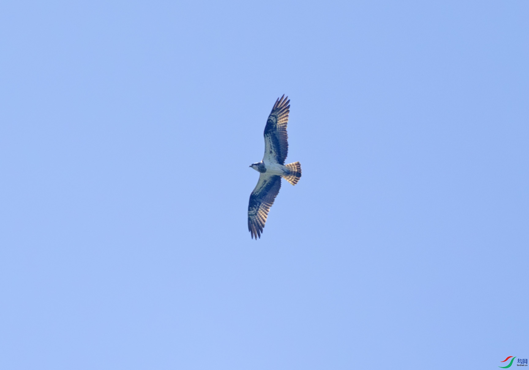 G47A9093-����ǿ-NR ����.jpg