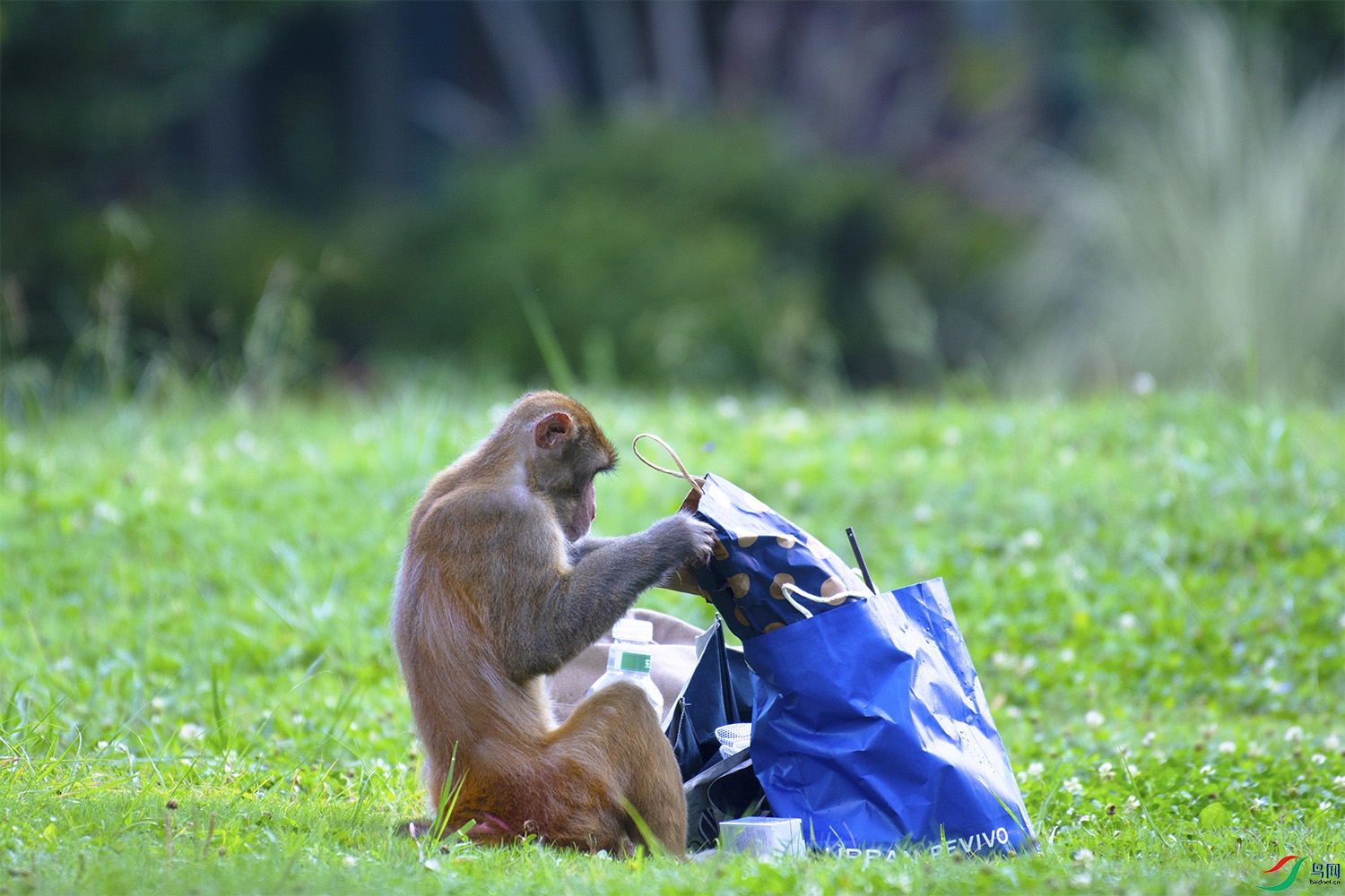 �l�������ߣ�