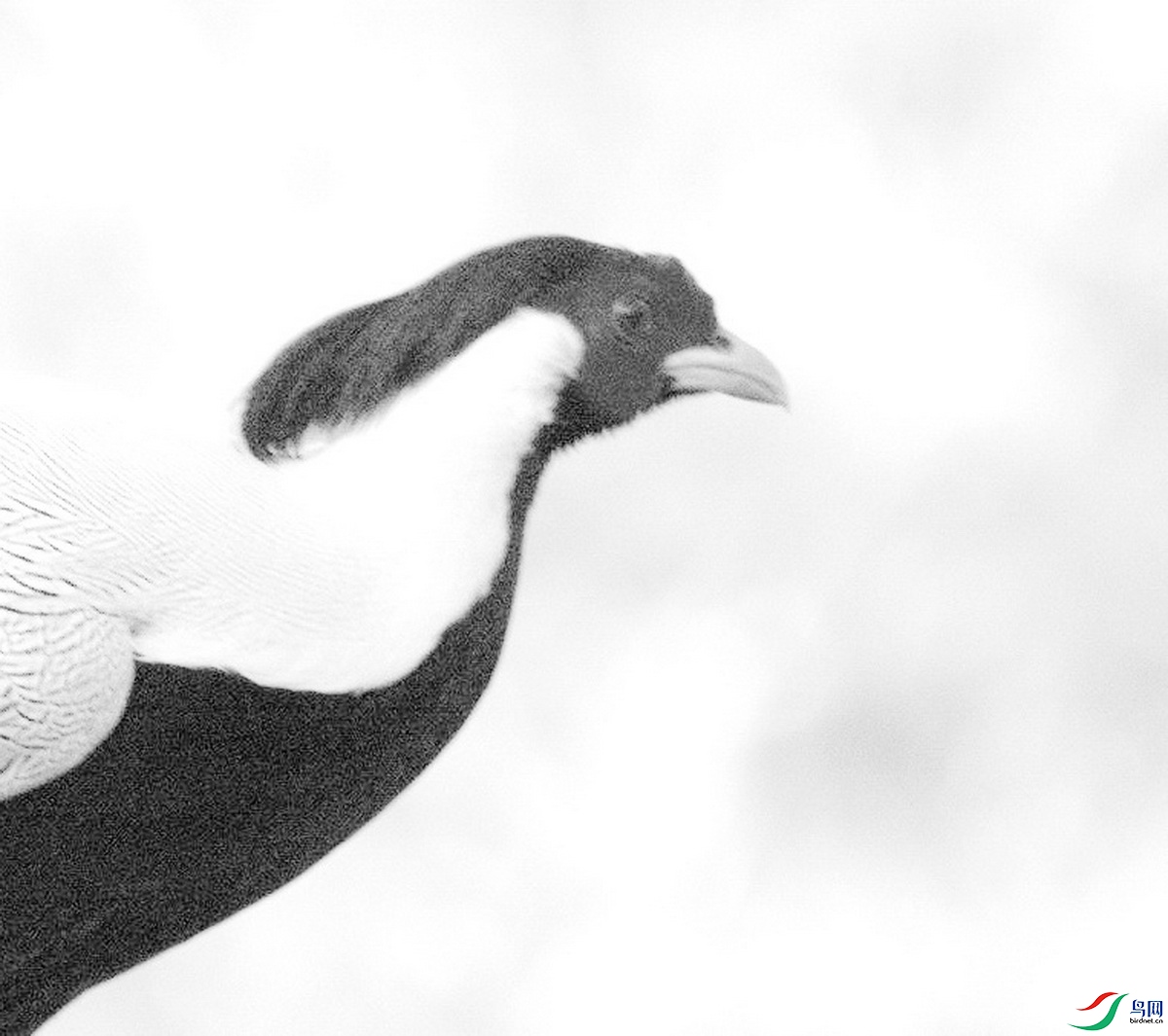 _DSC1299b_������С.jpg