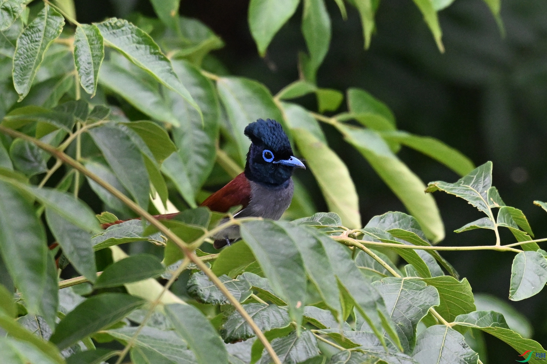 DSC_6093.JPG
