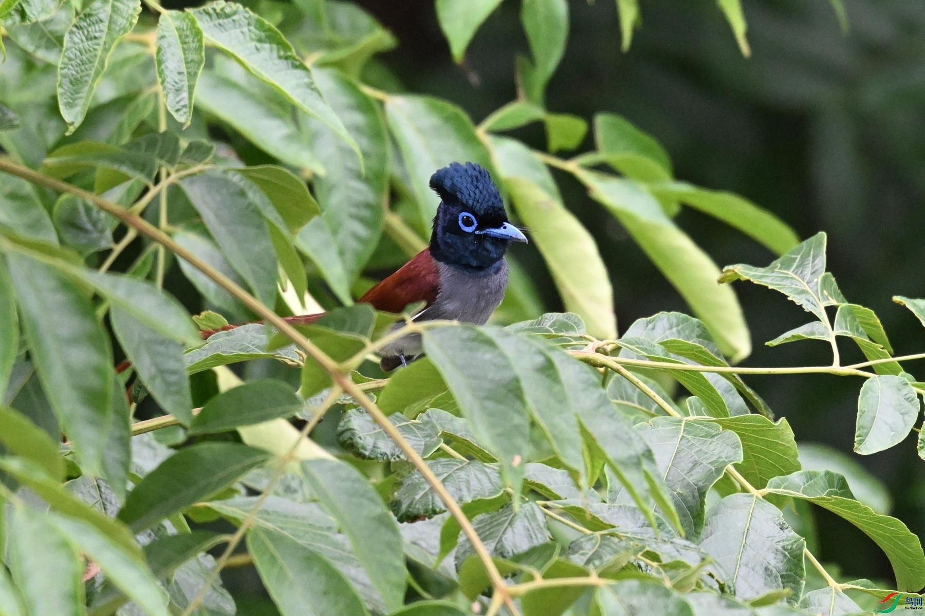 DSC_6094.JPG