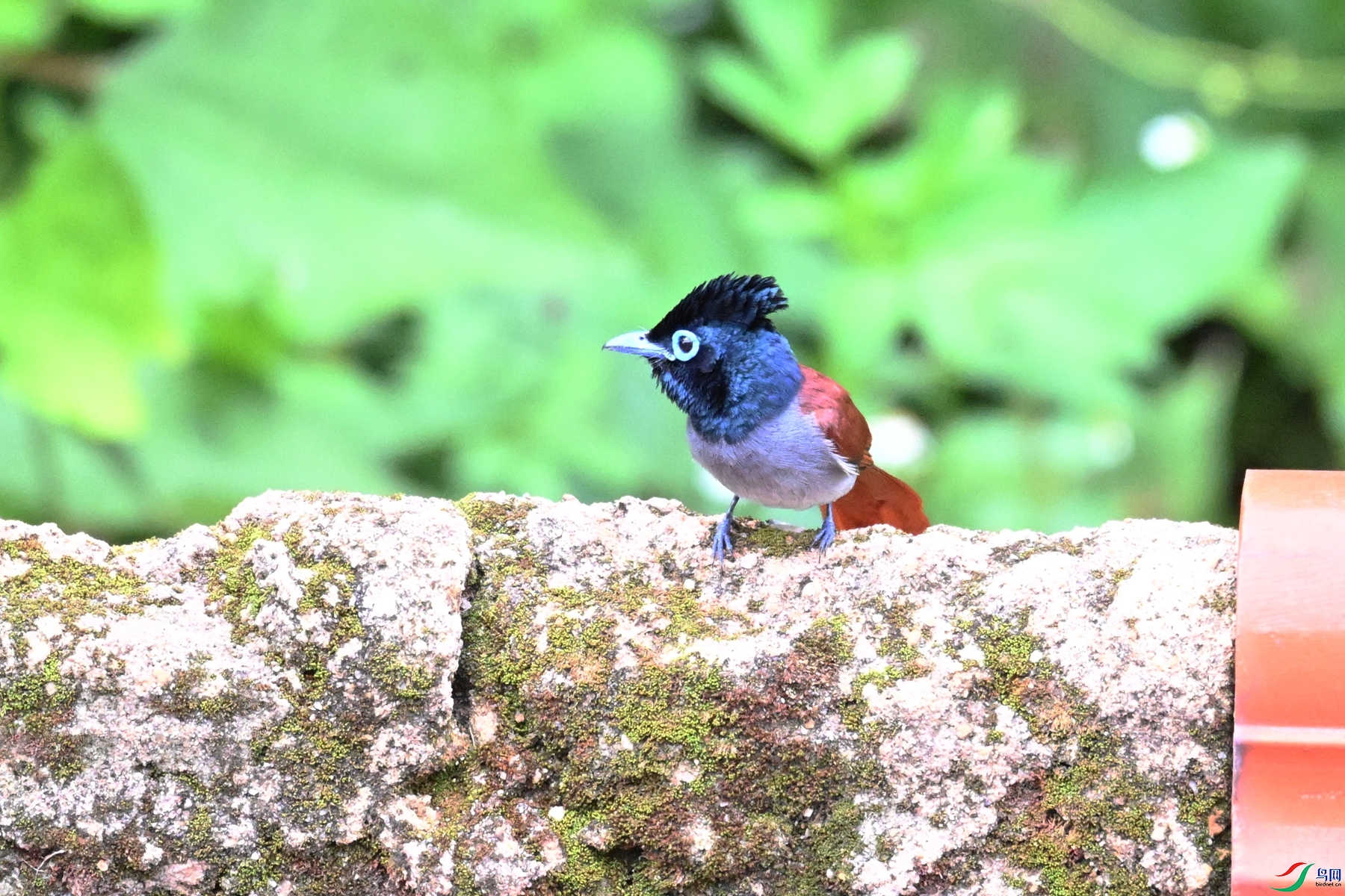 DSC_6116.JPG