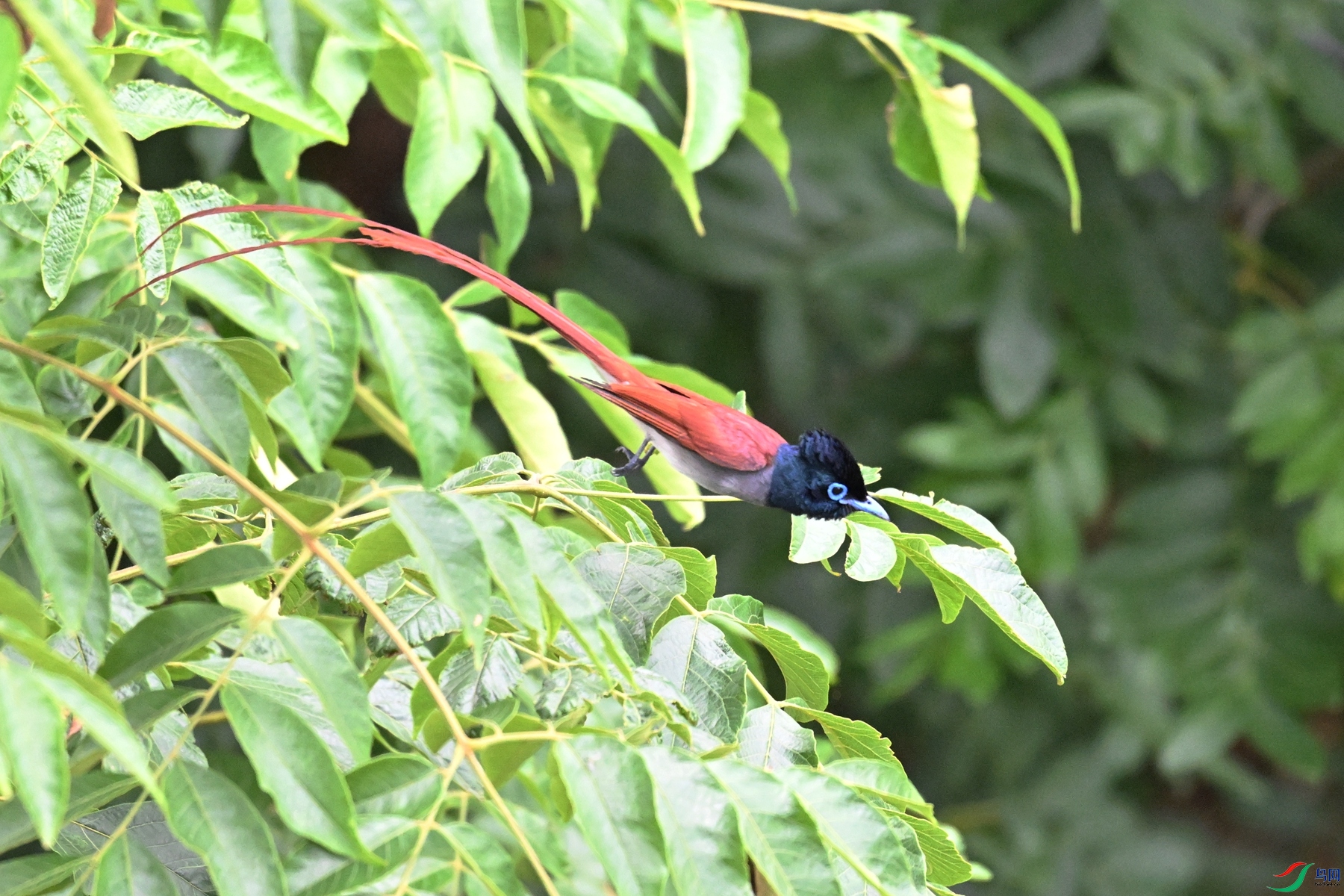 DSC_6097.JPG