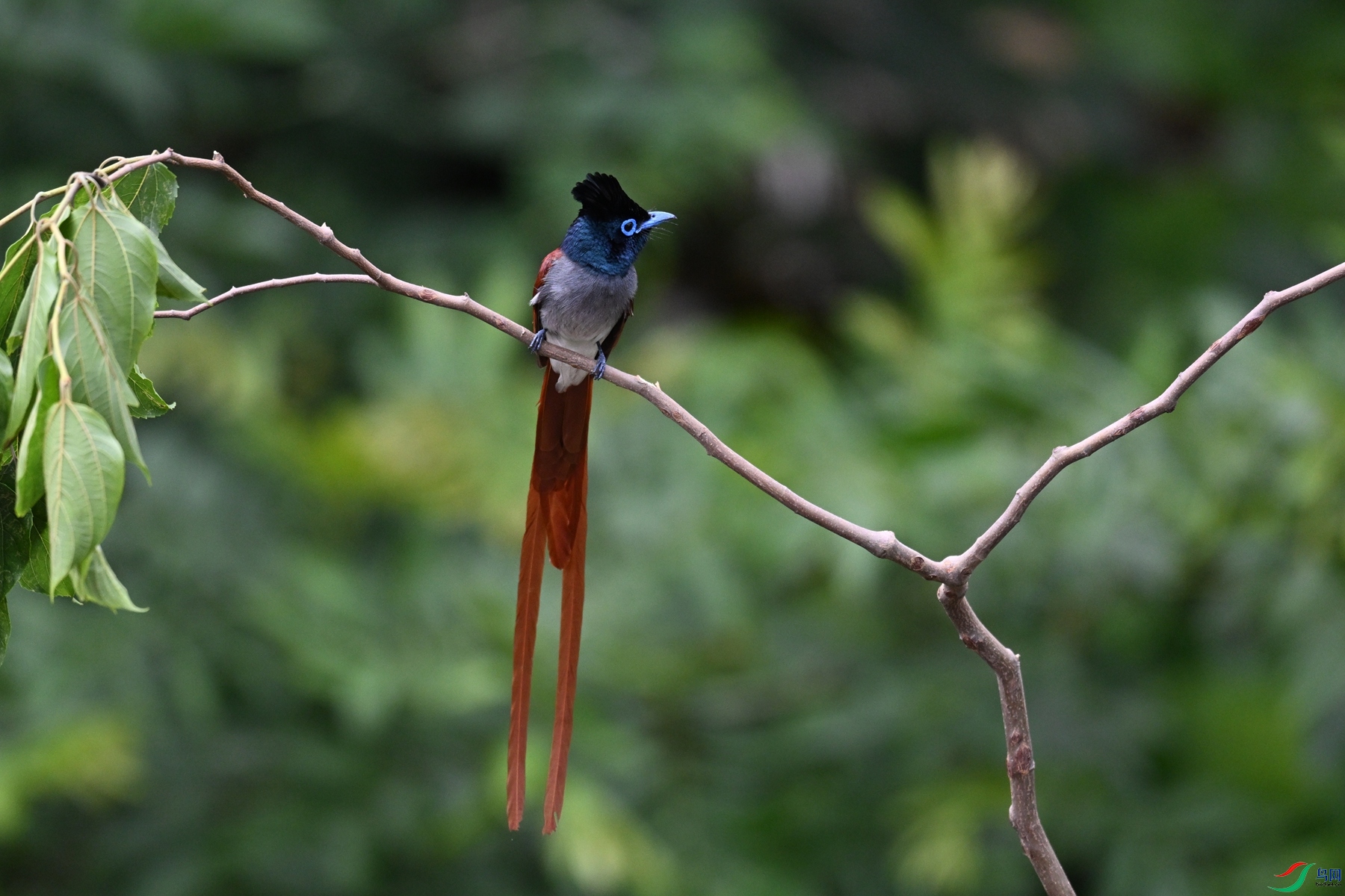 DSC_6127.JPG