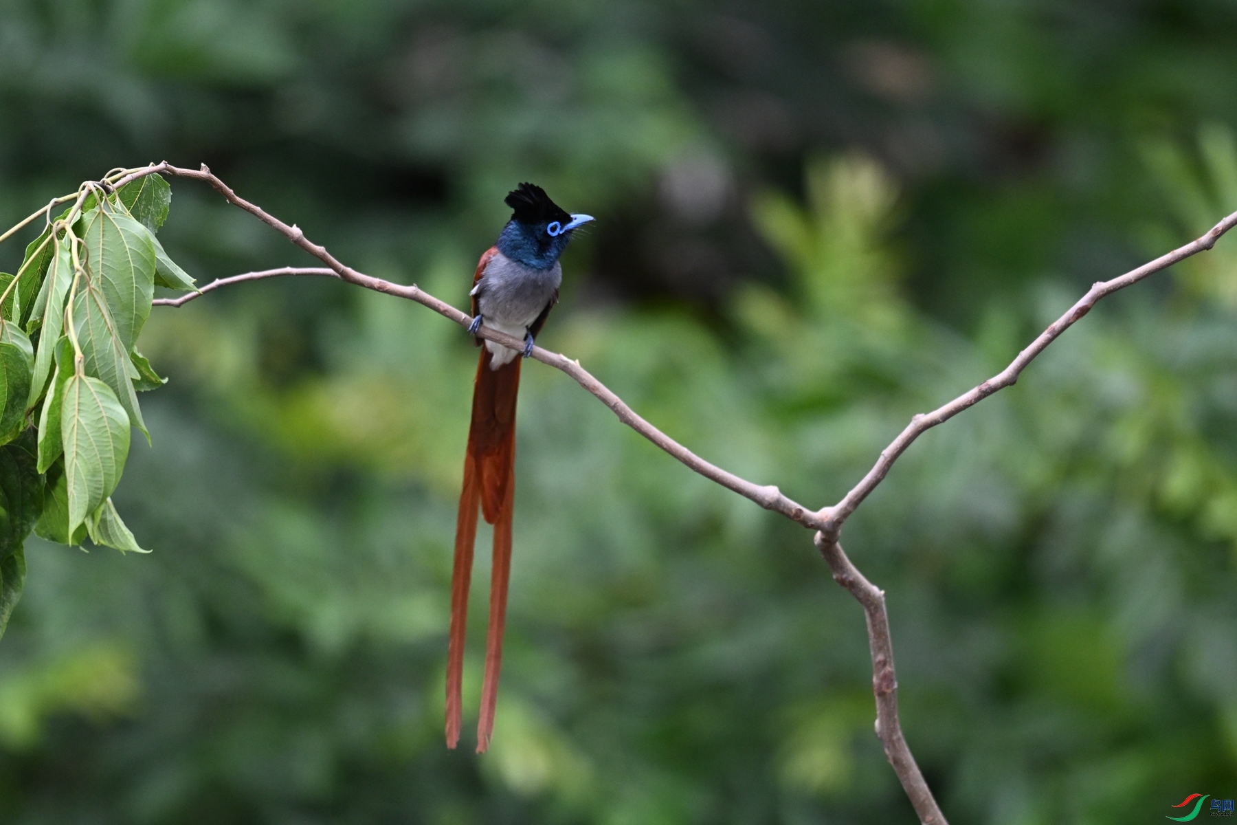 DSC_6129.JPG
