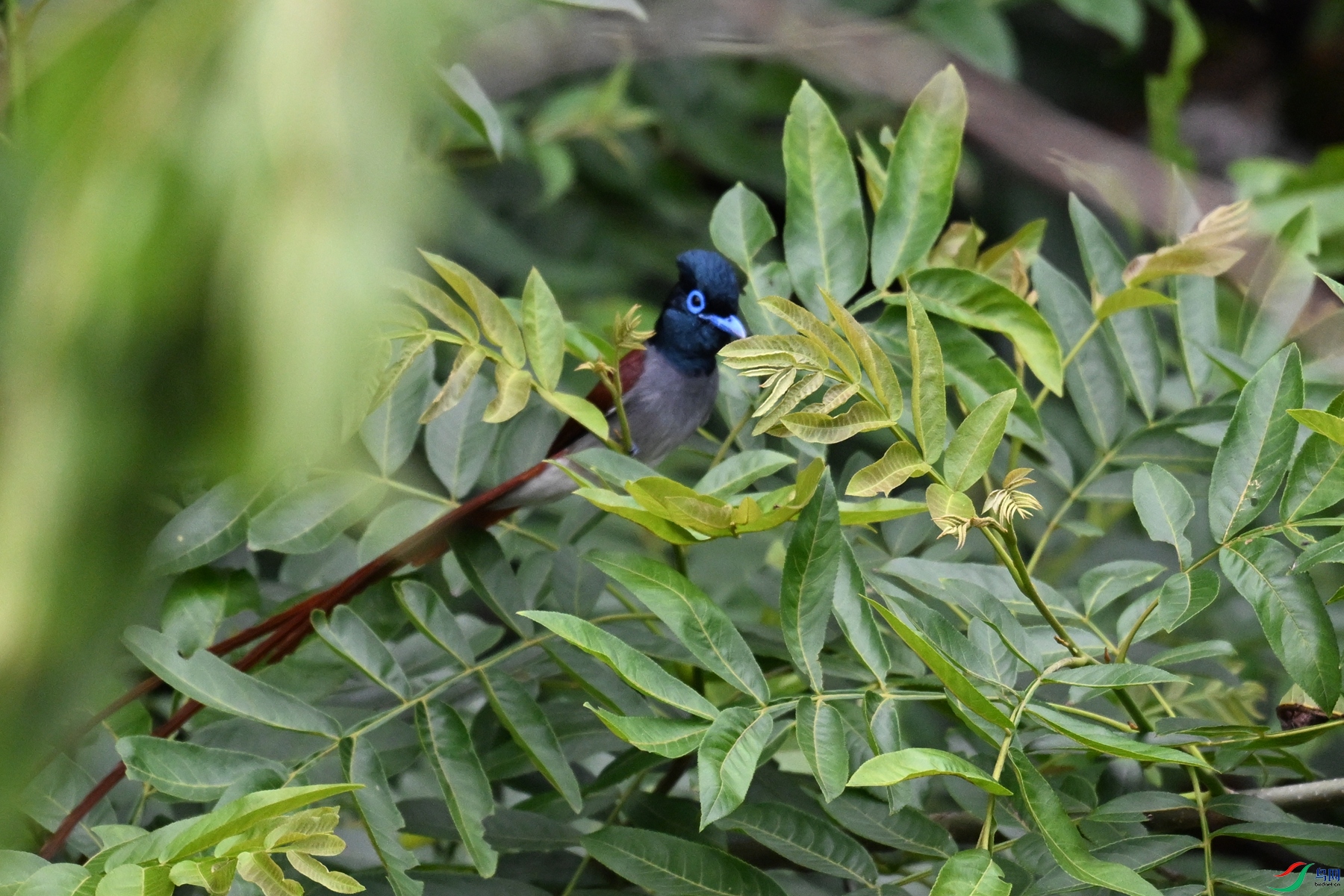 DSC_6114.JPG