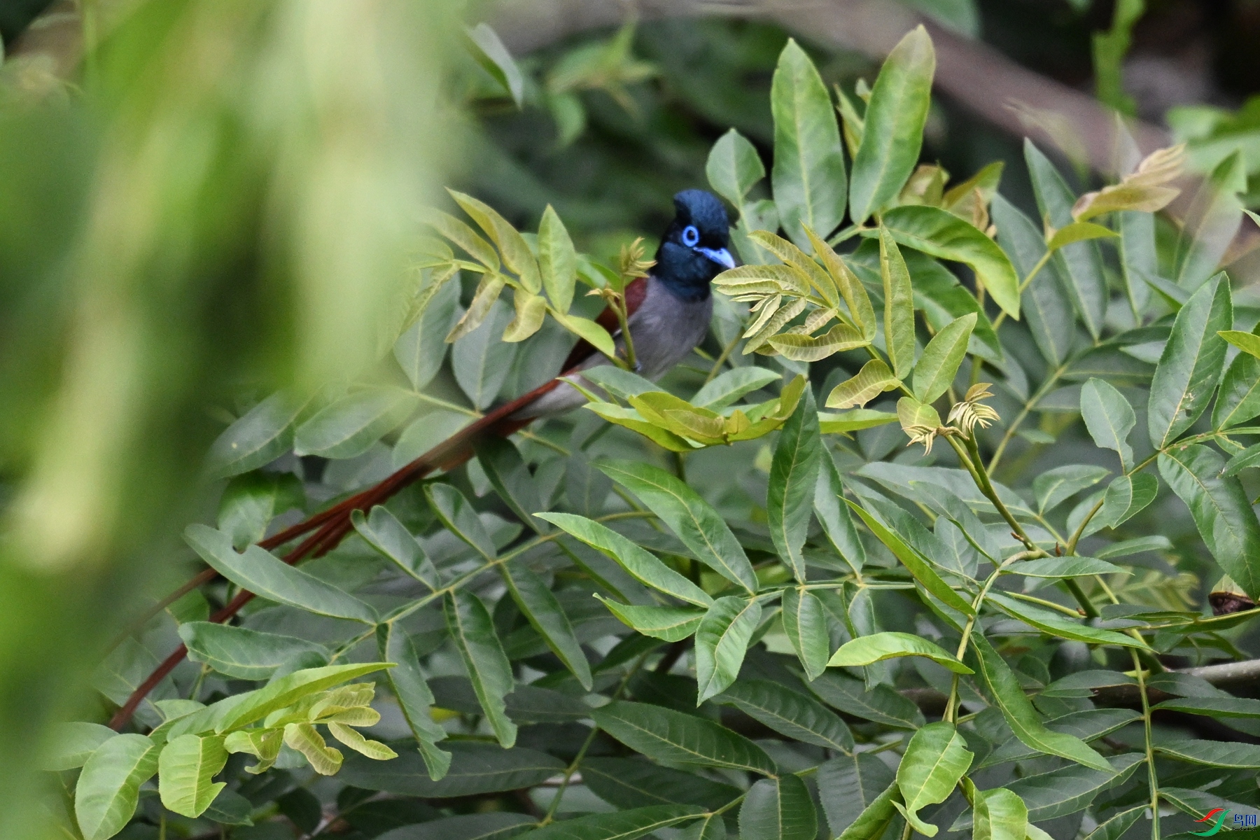 DSC_6115.JPG