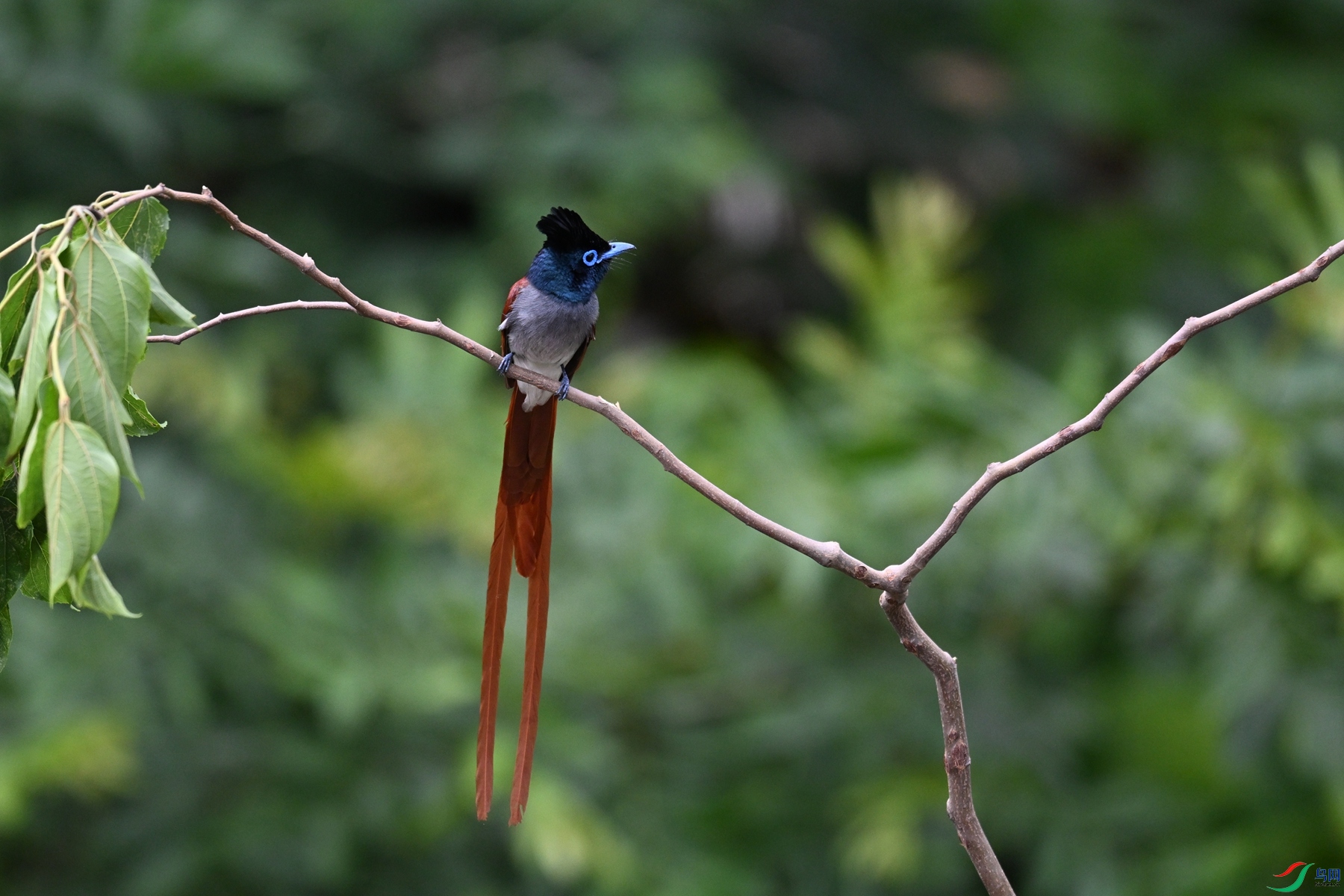 DSC_6128.JPG
