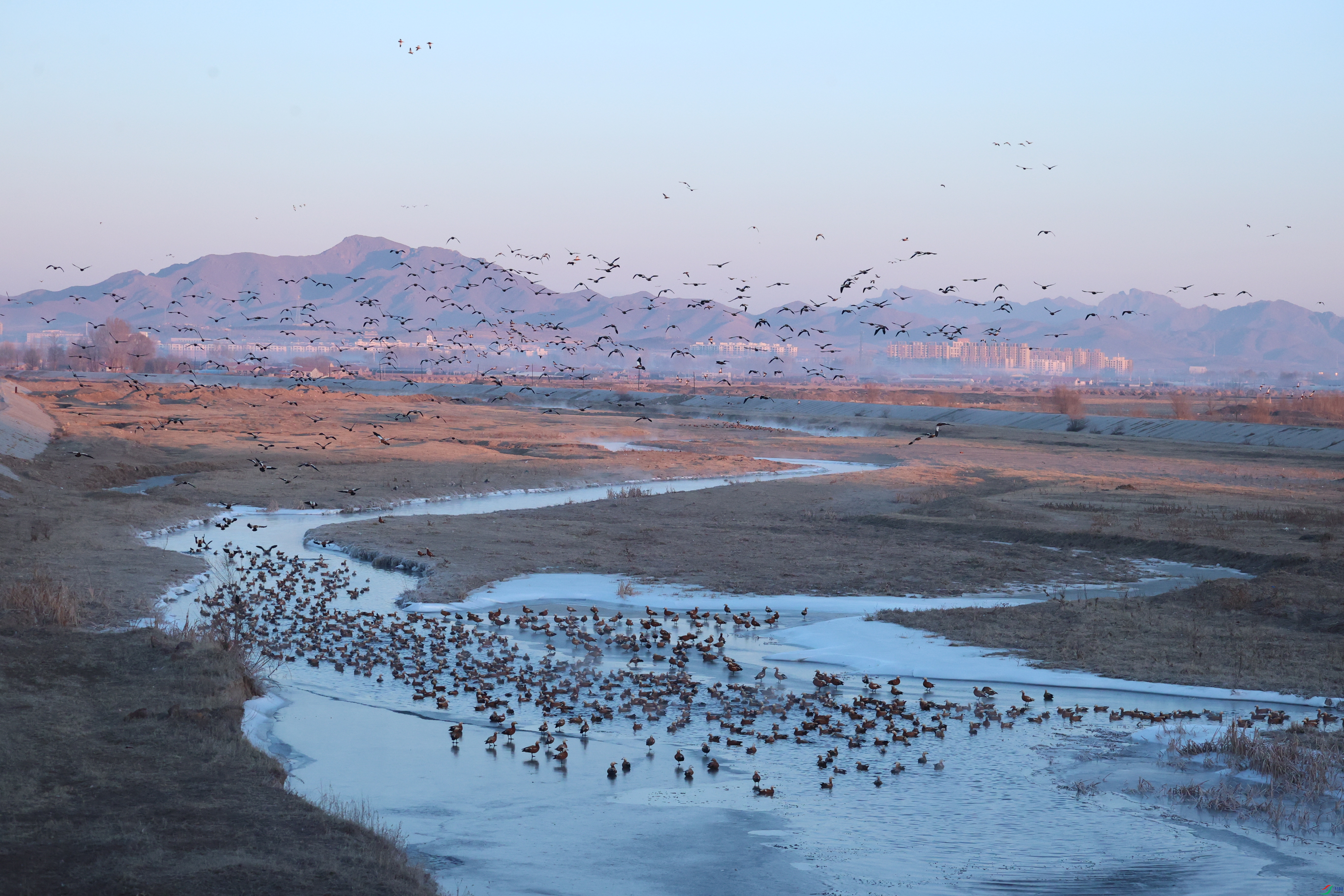 8413��ש����