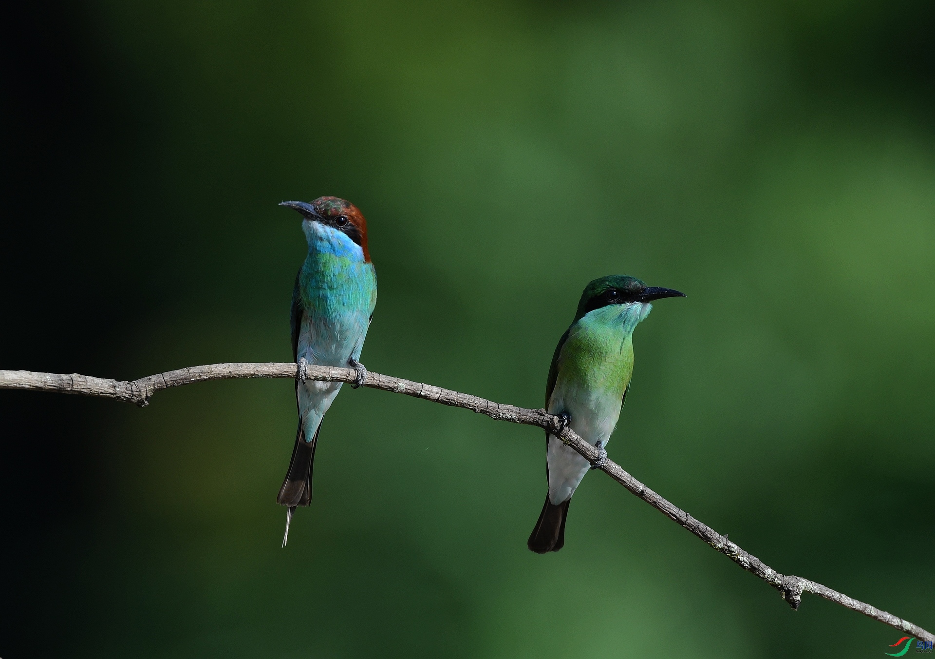 DSC_1811.jpg