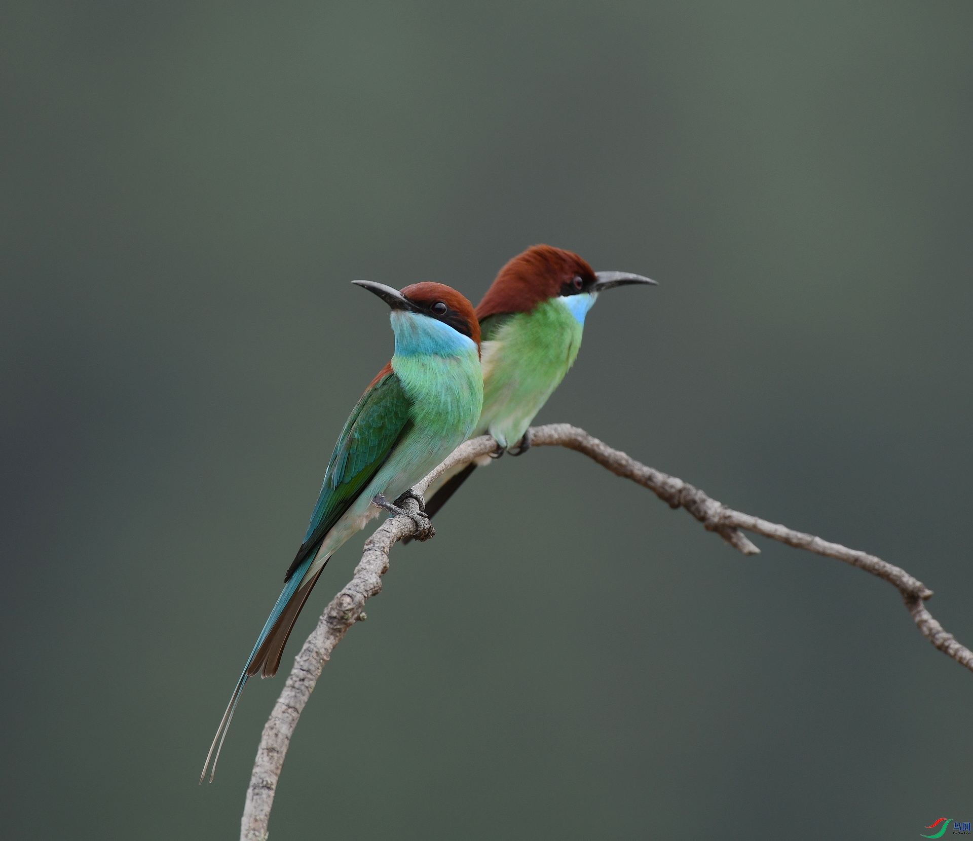 DSC_9482.jpg