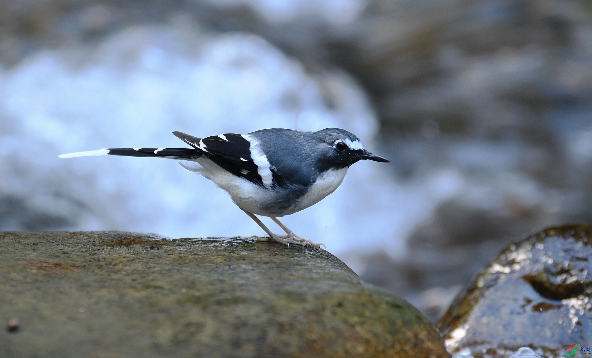 DSC_9617.jpg