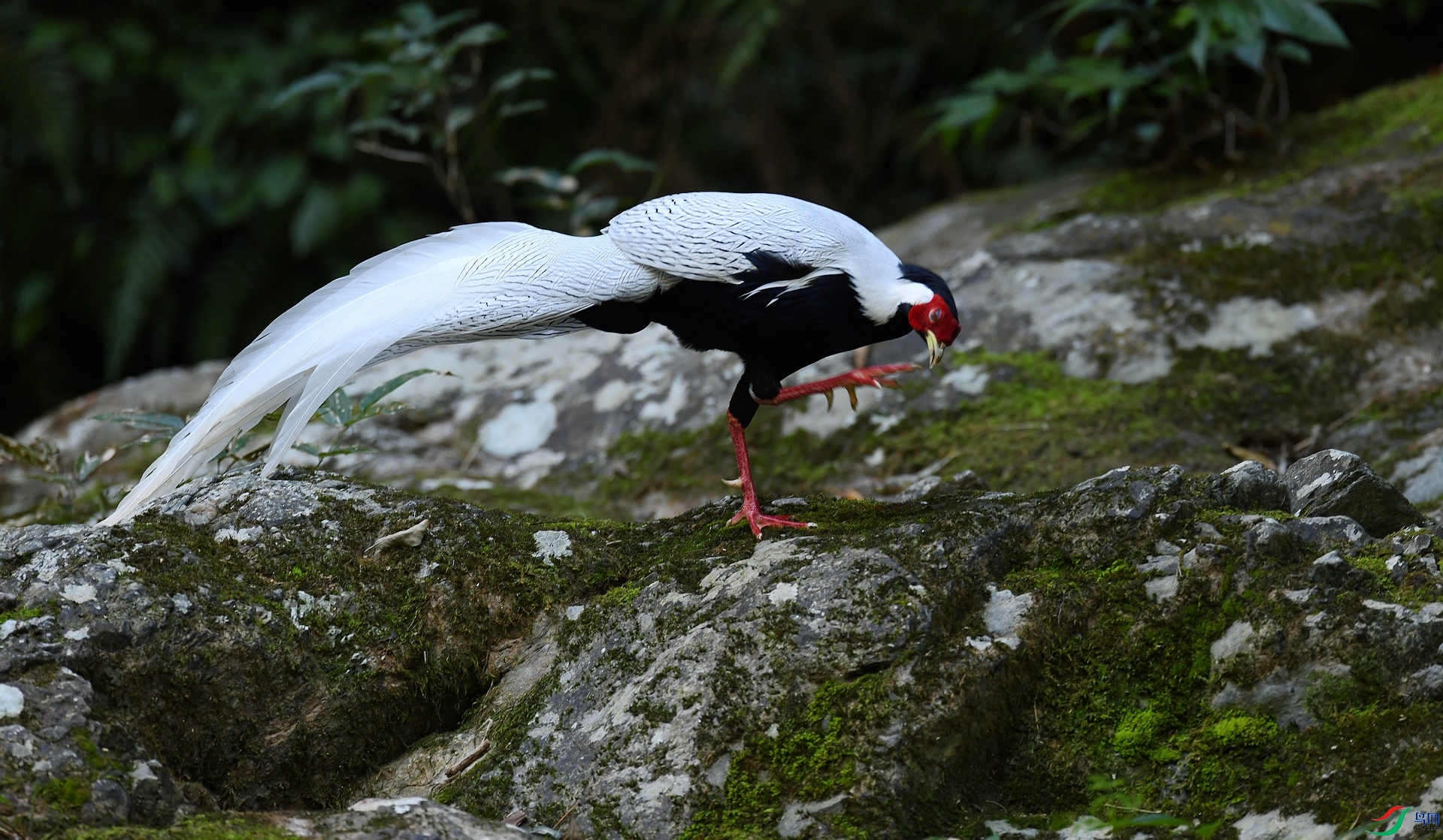 DSC_9594.jpg