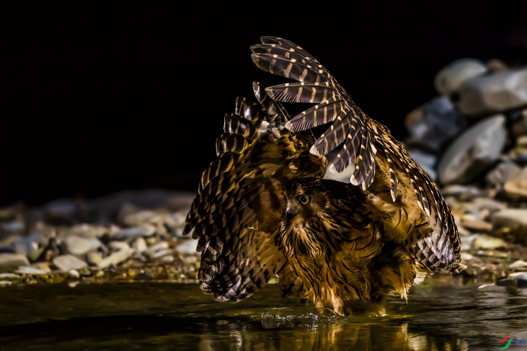 DSC_�������^ - ����.jpg