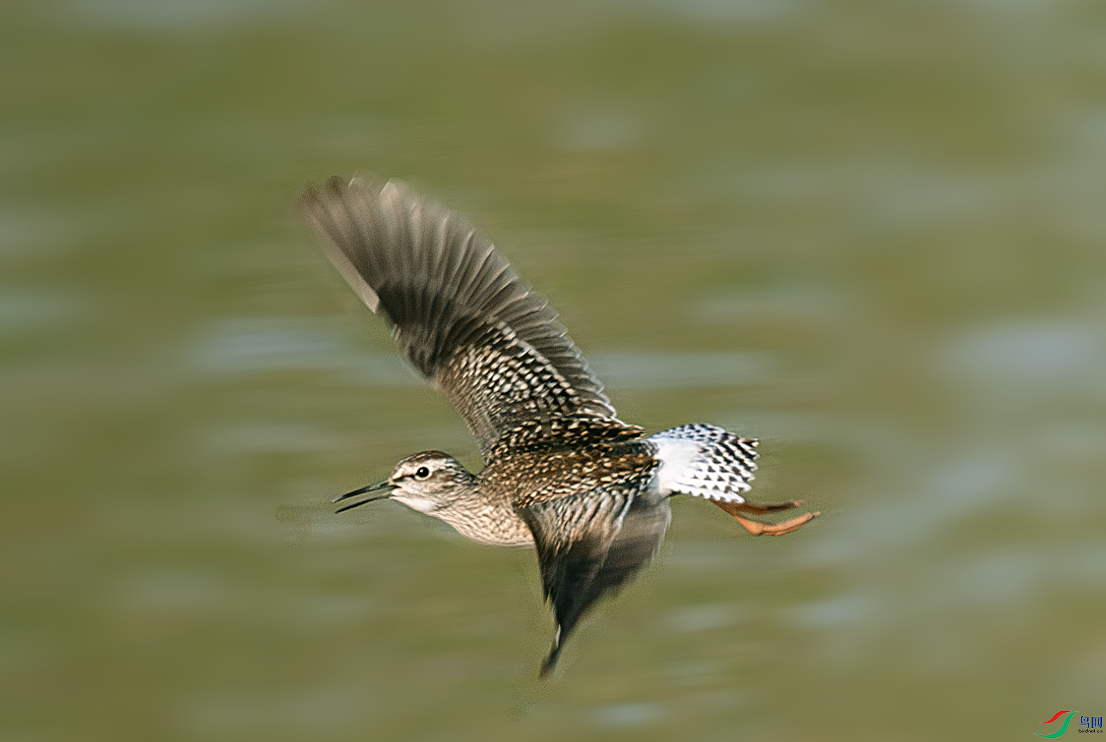 _DSC7403-����ǿ-NR.PNG
