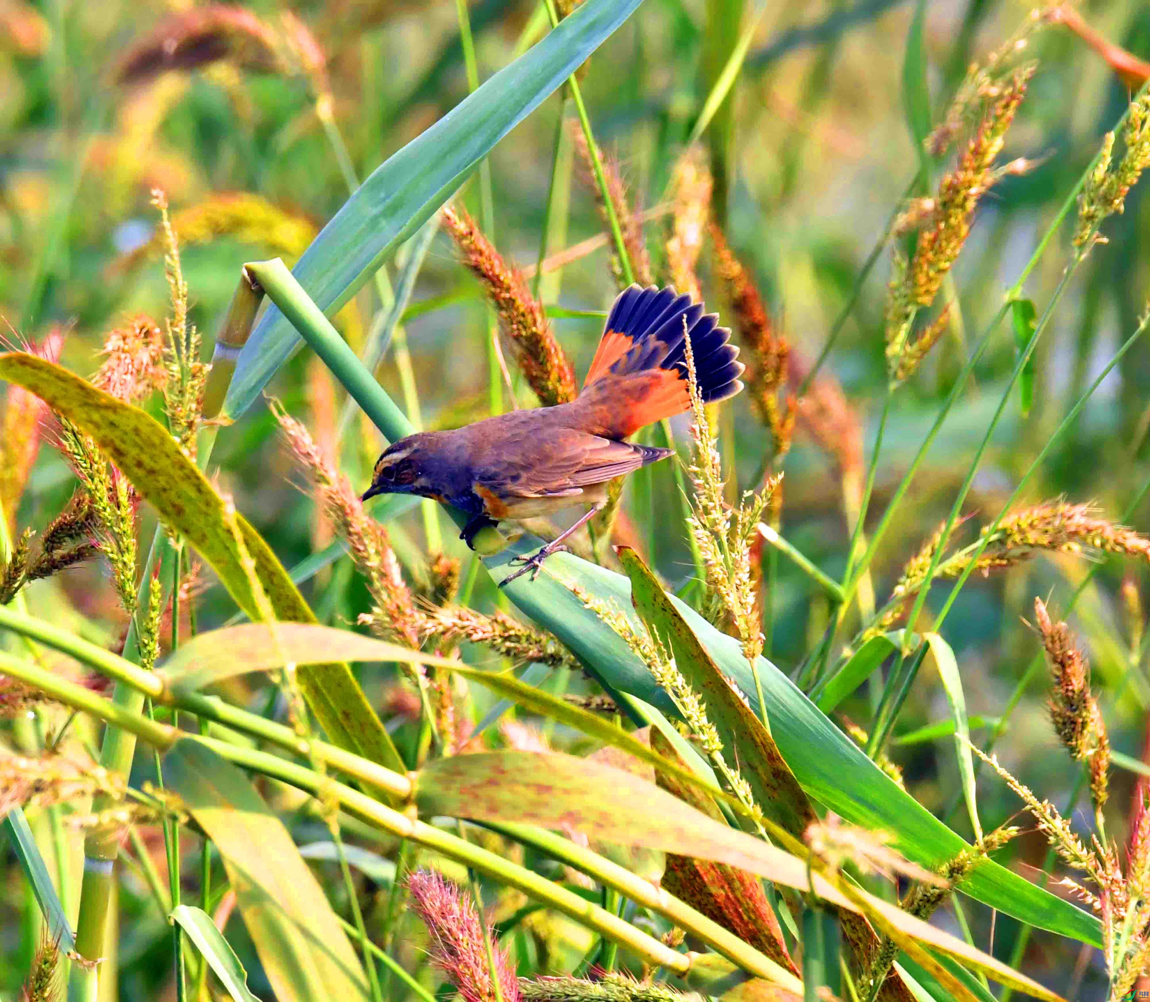 DSC_6314.JPG