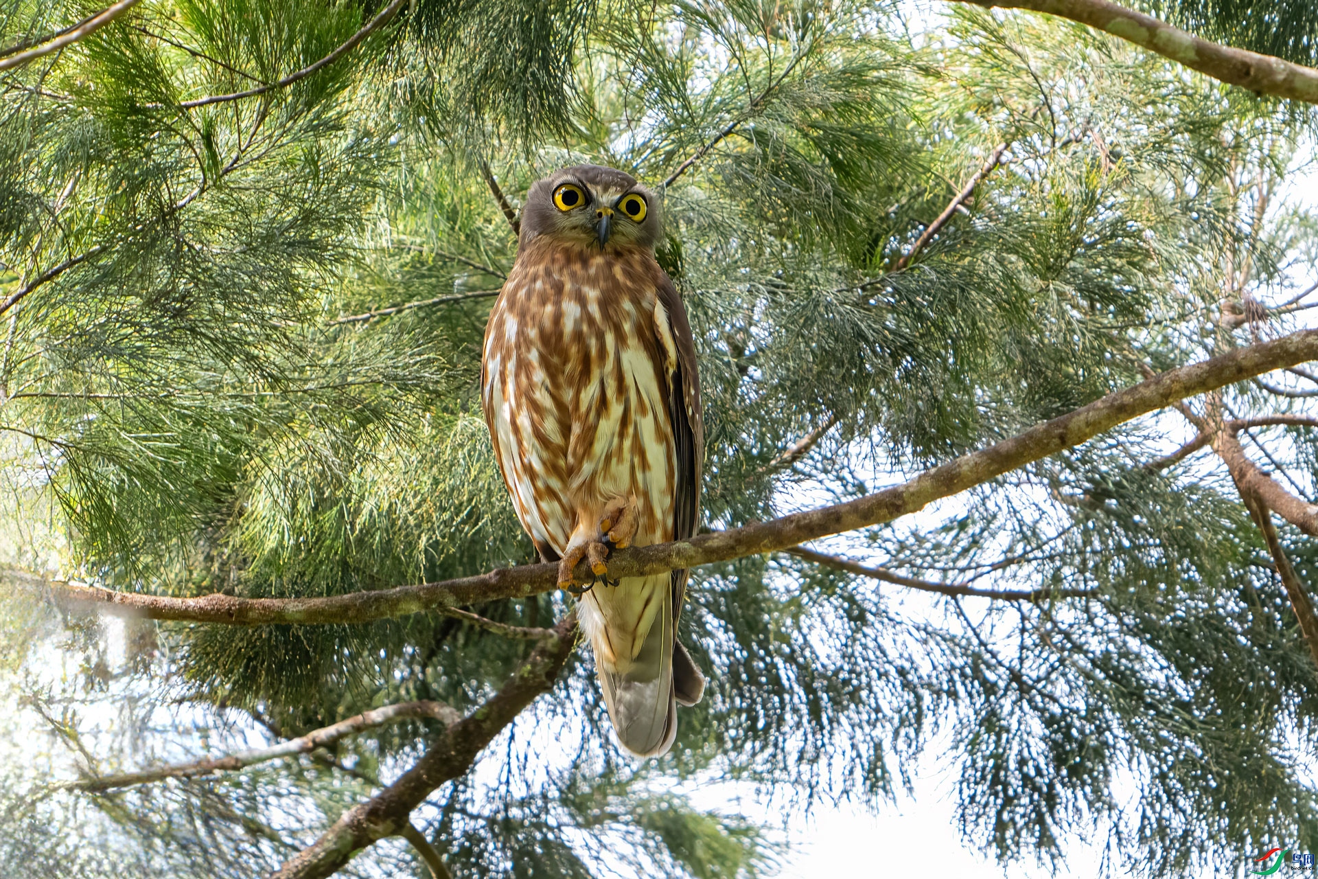 DSC_4520.jpg