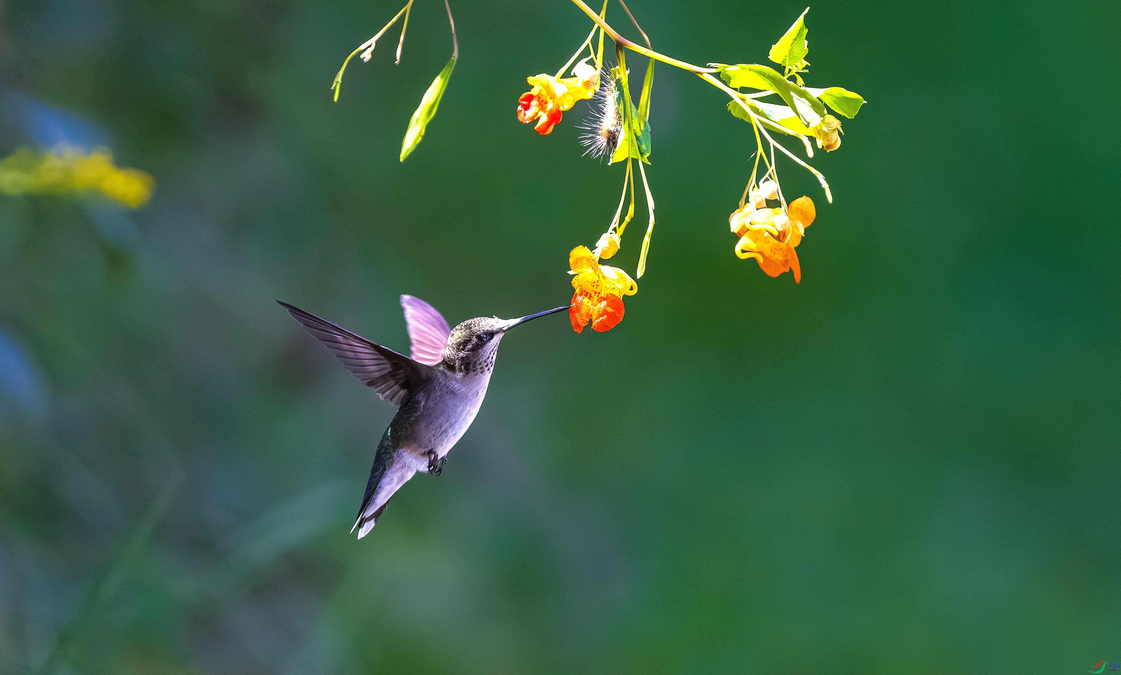 412A7708-1_����=R-1_����=00.jpg