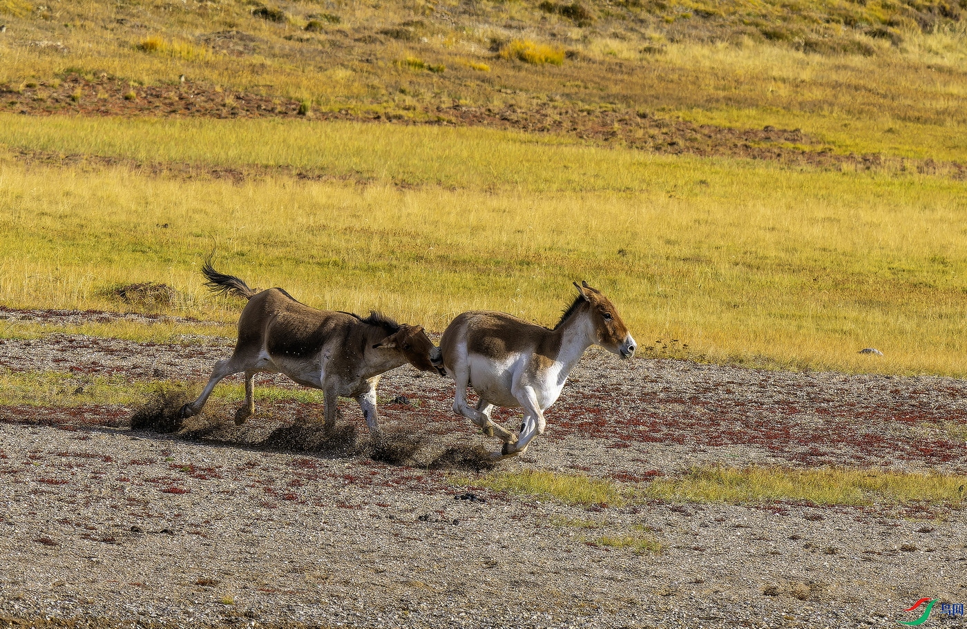 ��Ұ¿ (3)-01.jpg