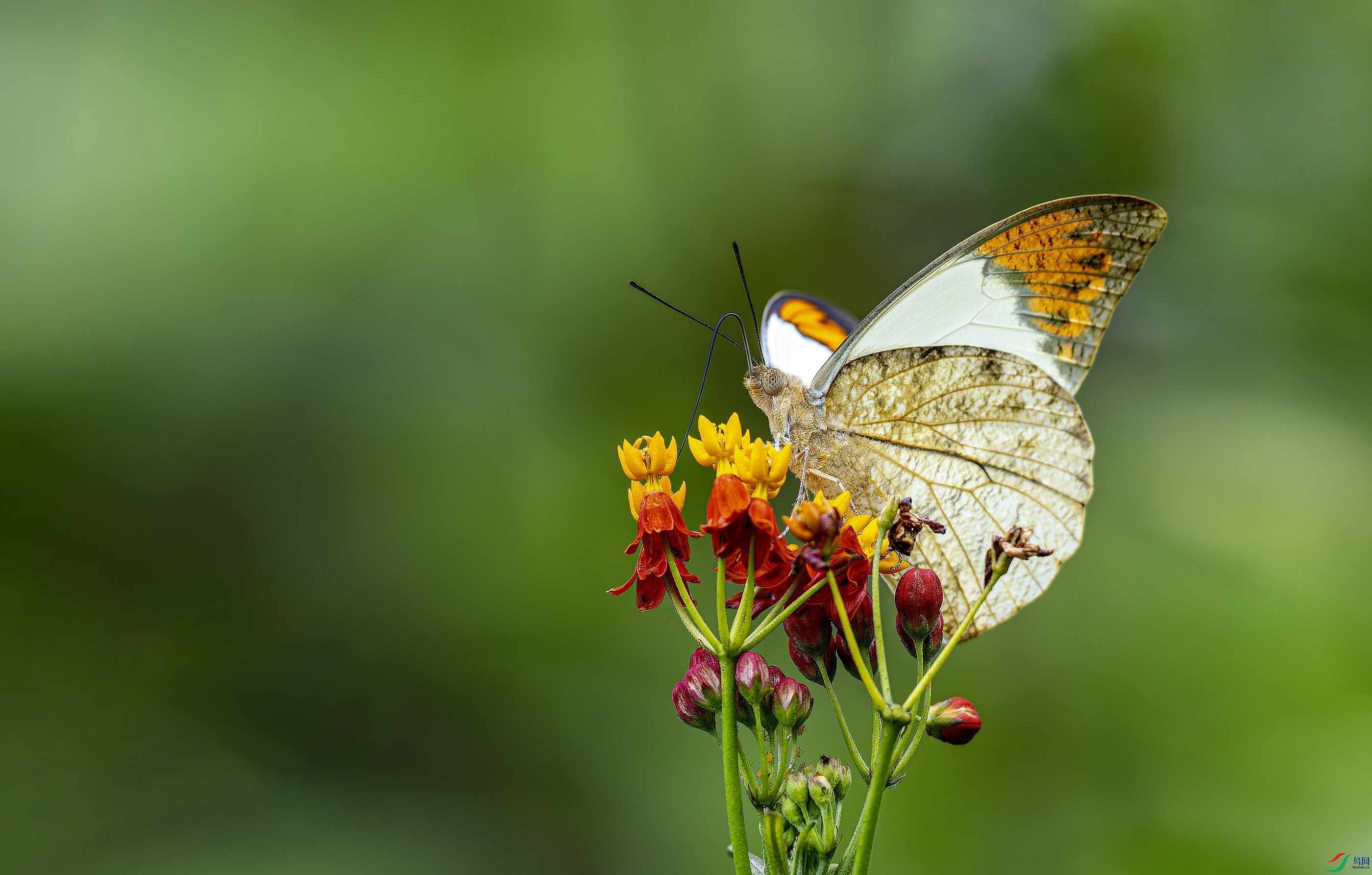 �׶��۵� (46)-01.jpg