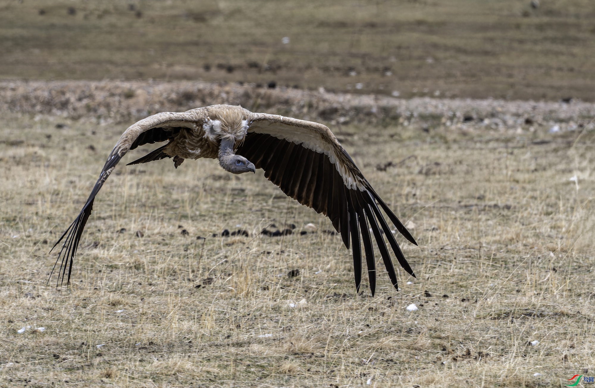 ��ɽأ�� (1147)-01.jpg