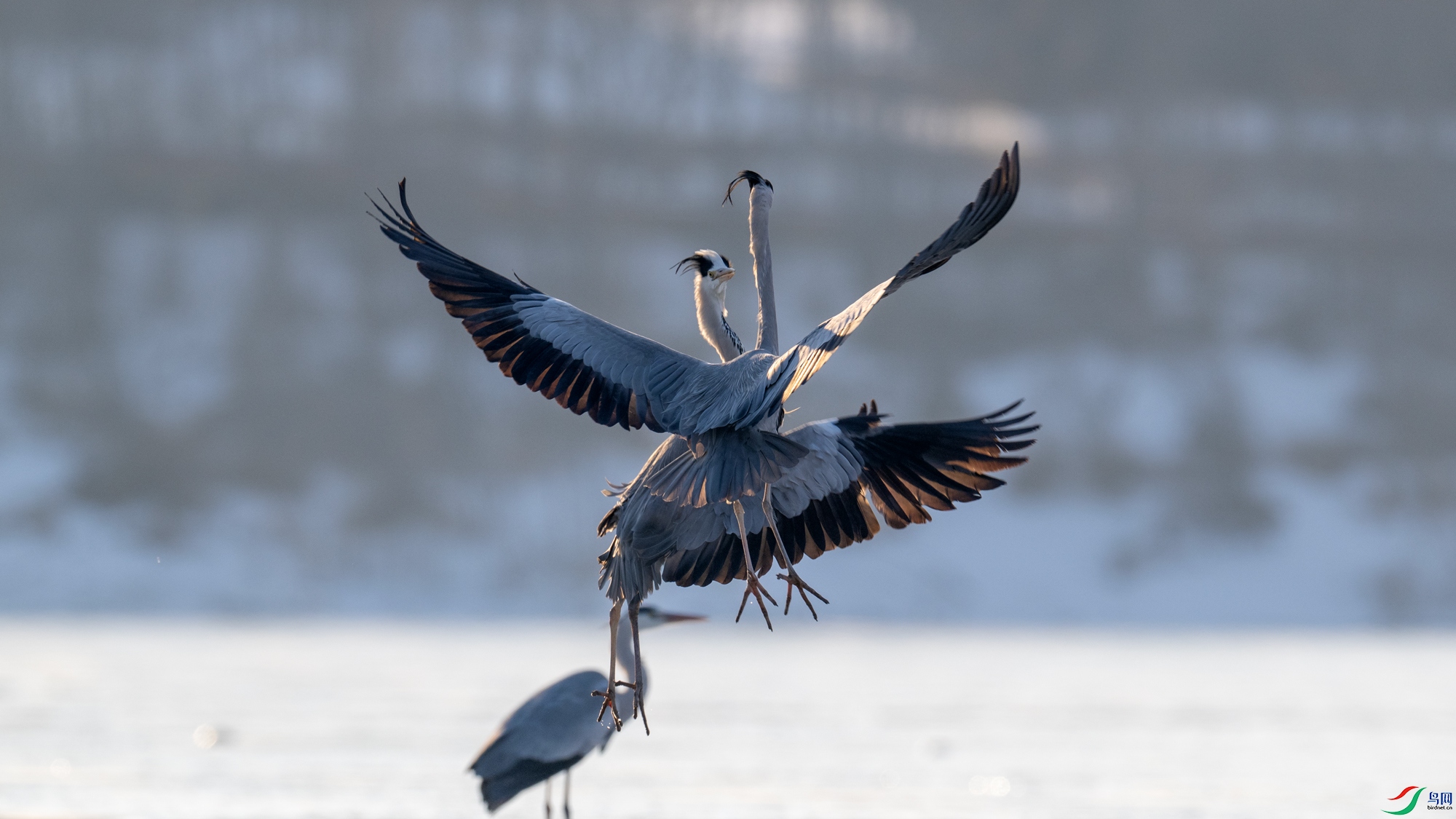 DSC_7346.jpg