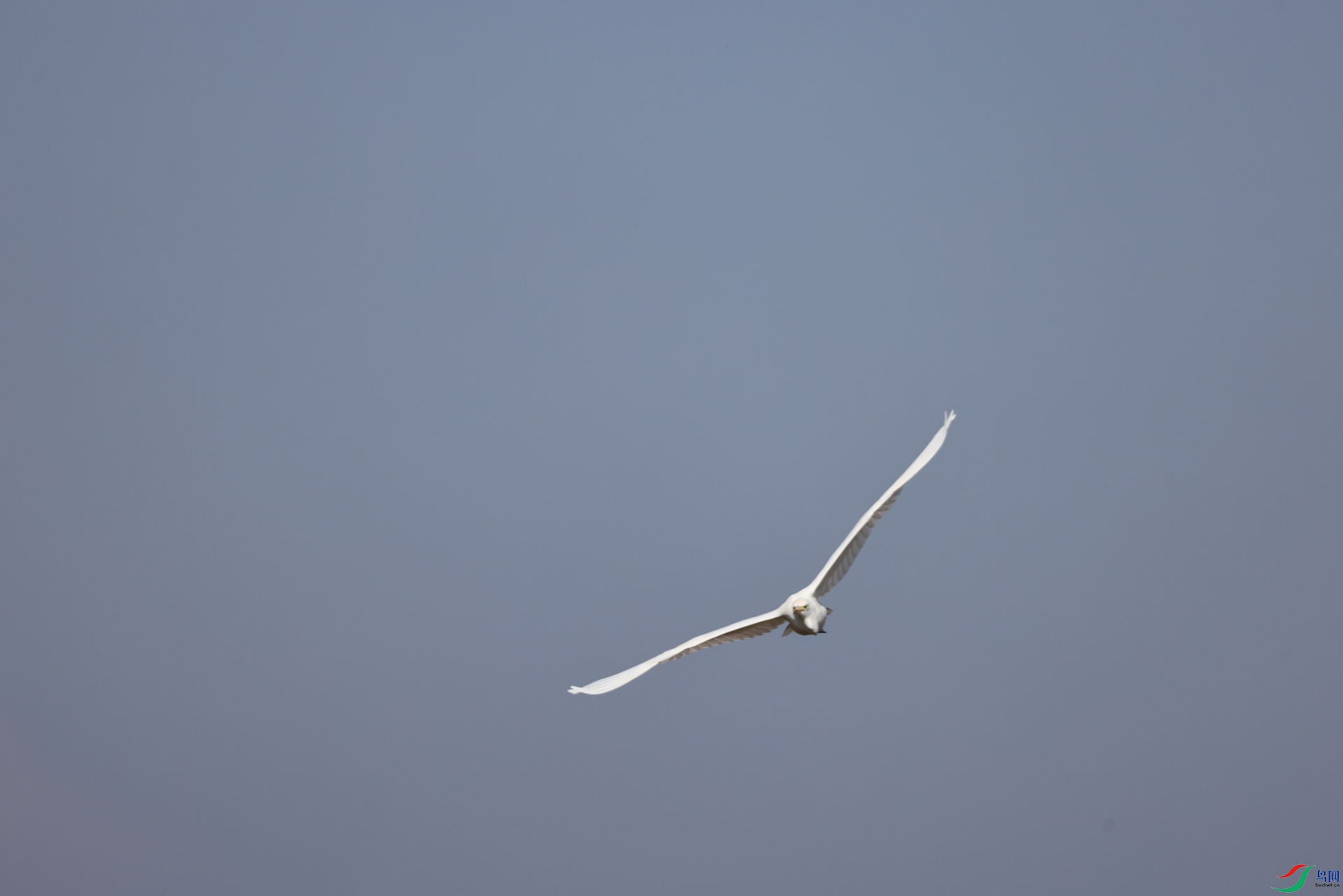 2F5A0763.JPG