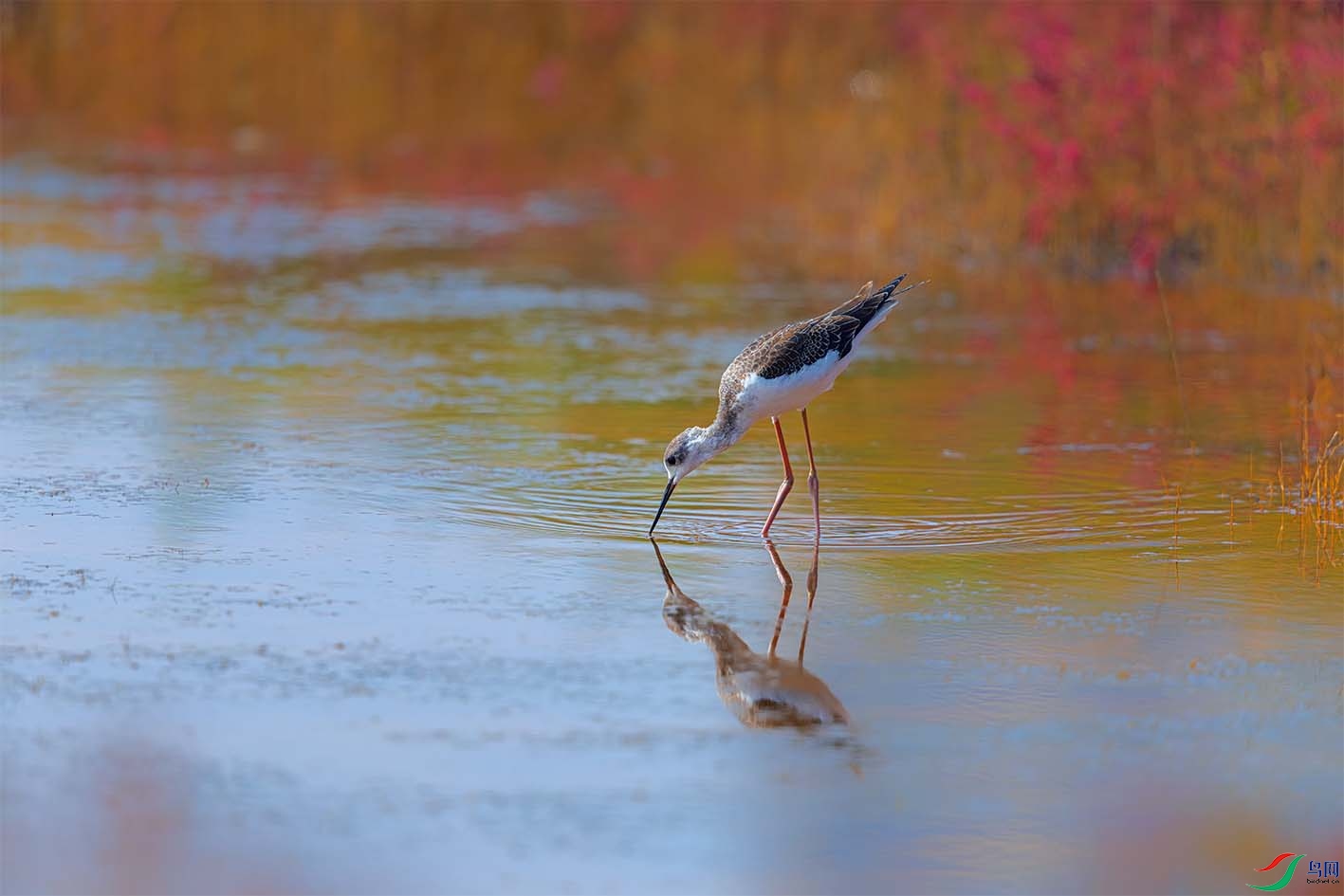 2025_09_24�ڳ᳤����_IMG_0533.jpg