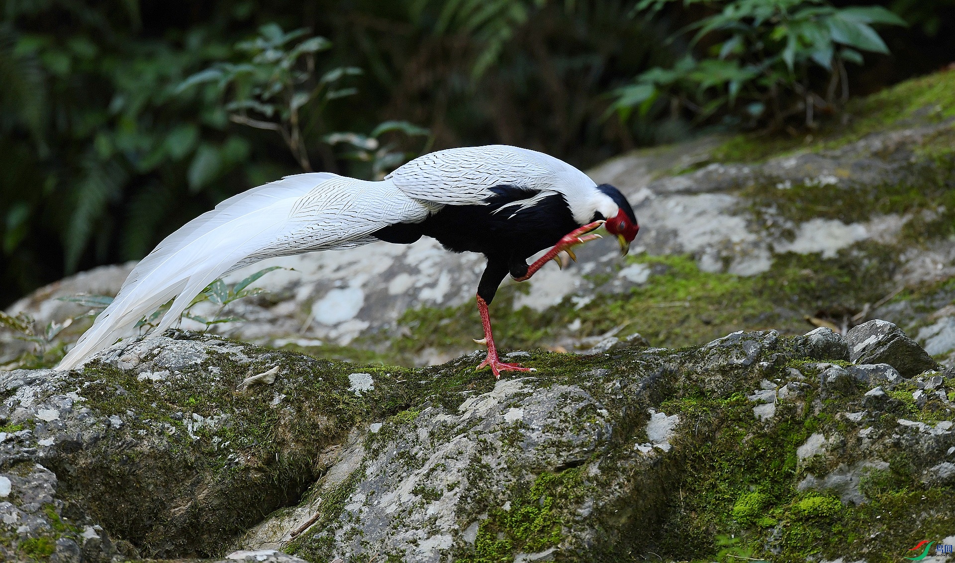 DSC_9593.jpg