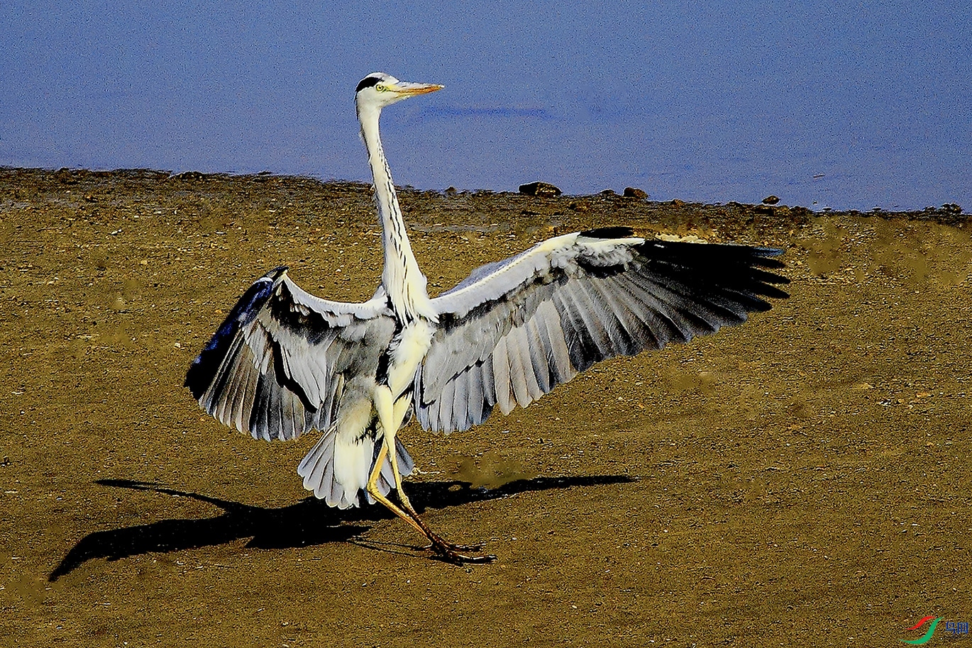 _MG_6828 ���� 2.jpg