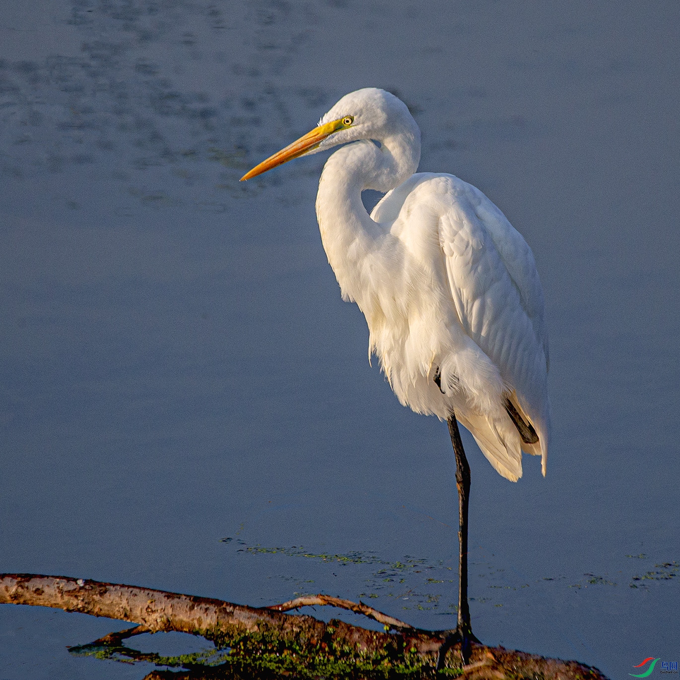 _MG_3502 ����.jpg