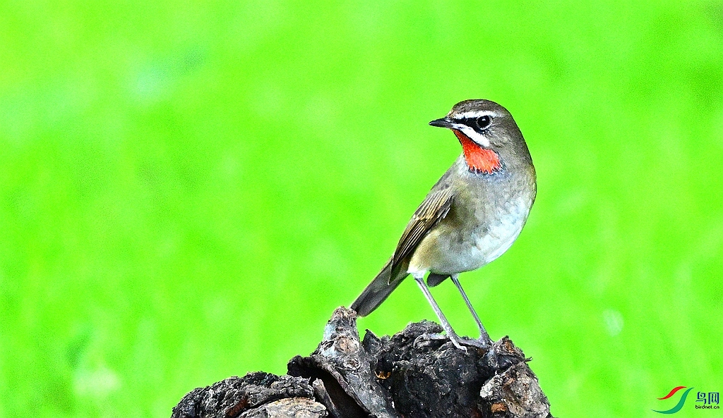 DSC_2770.JPG