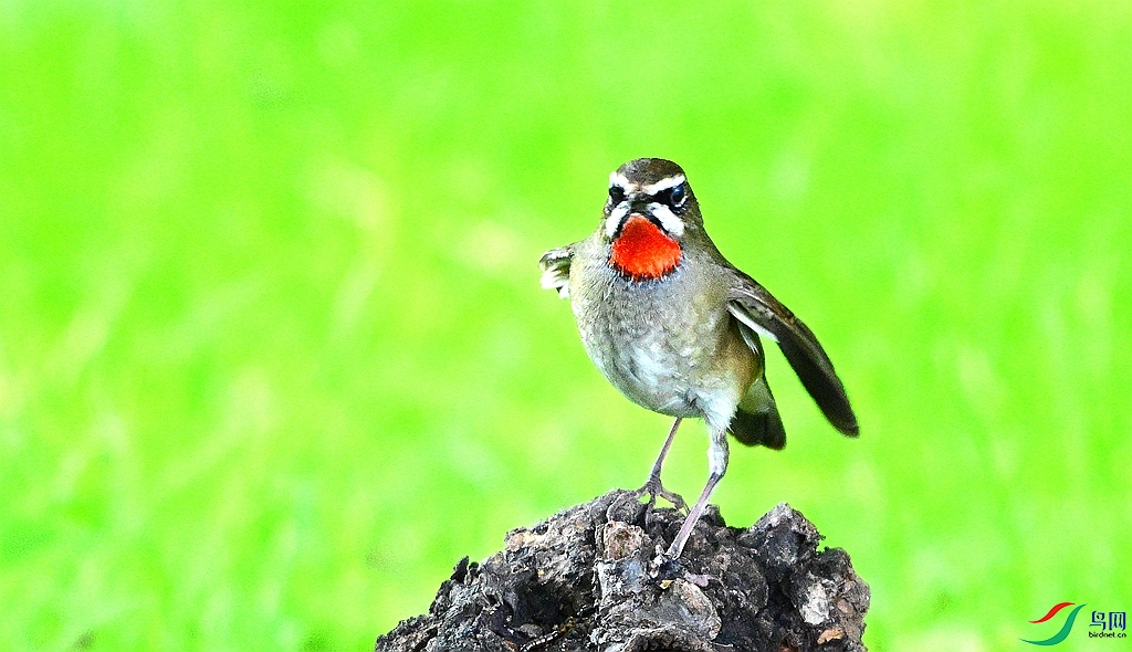 DSC_3070.JPG