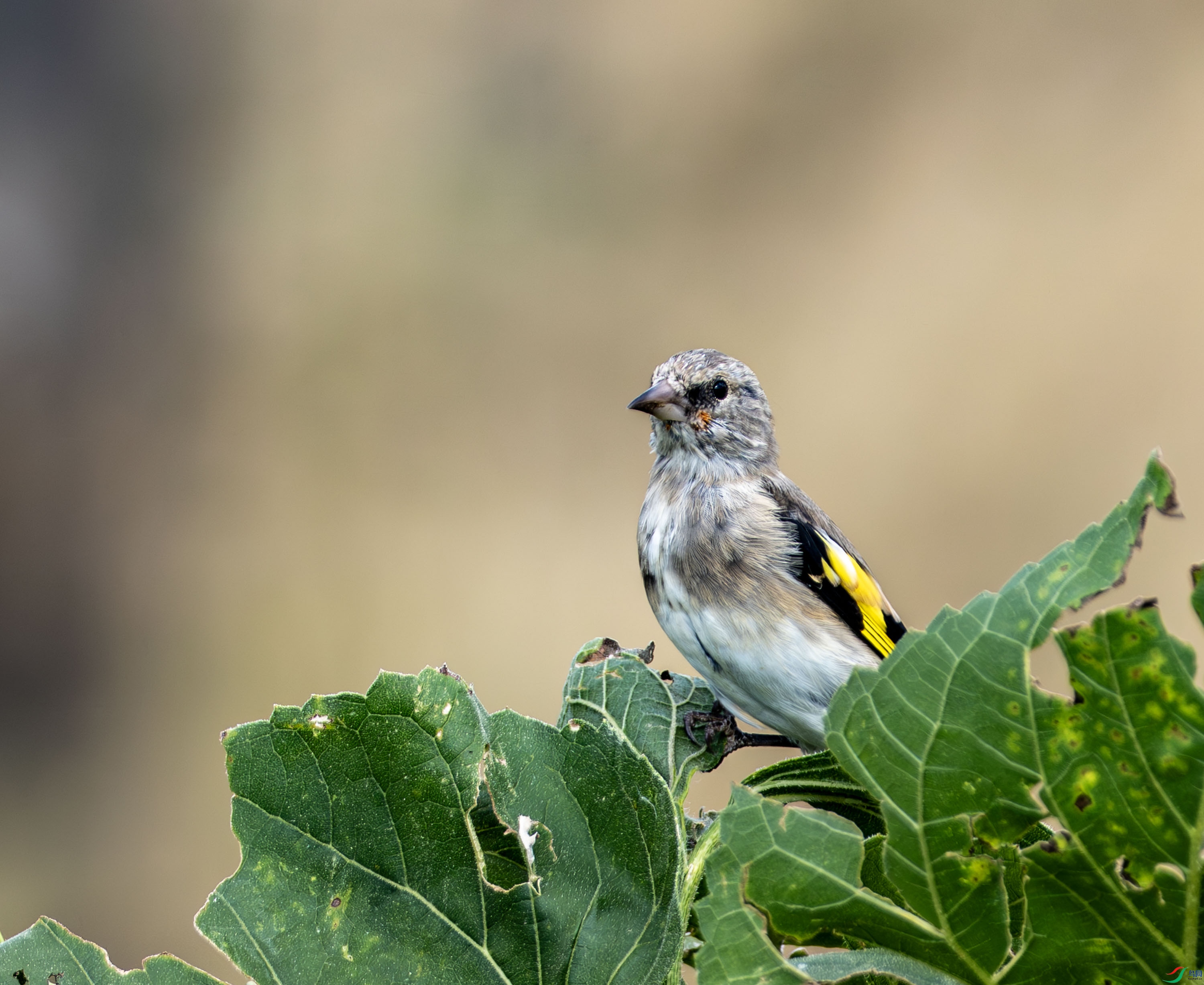 �����ȸ-8.jpg