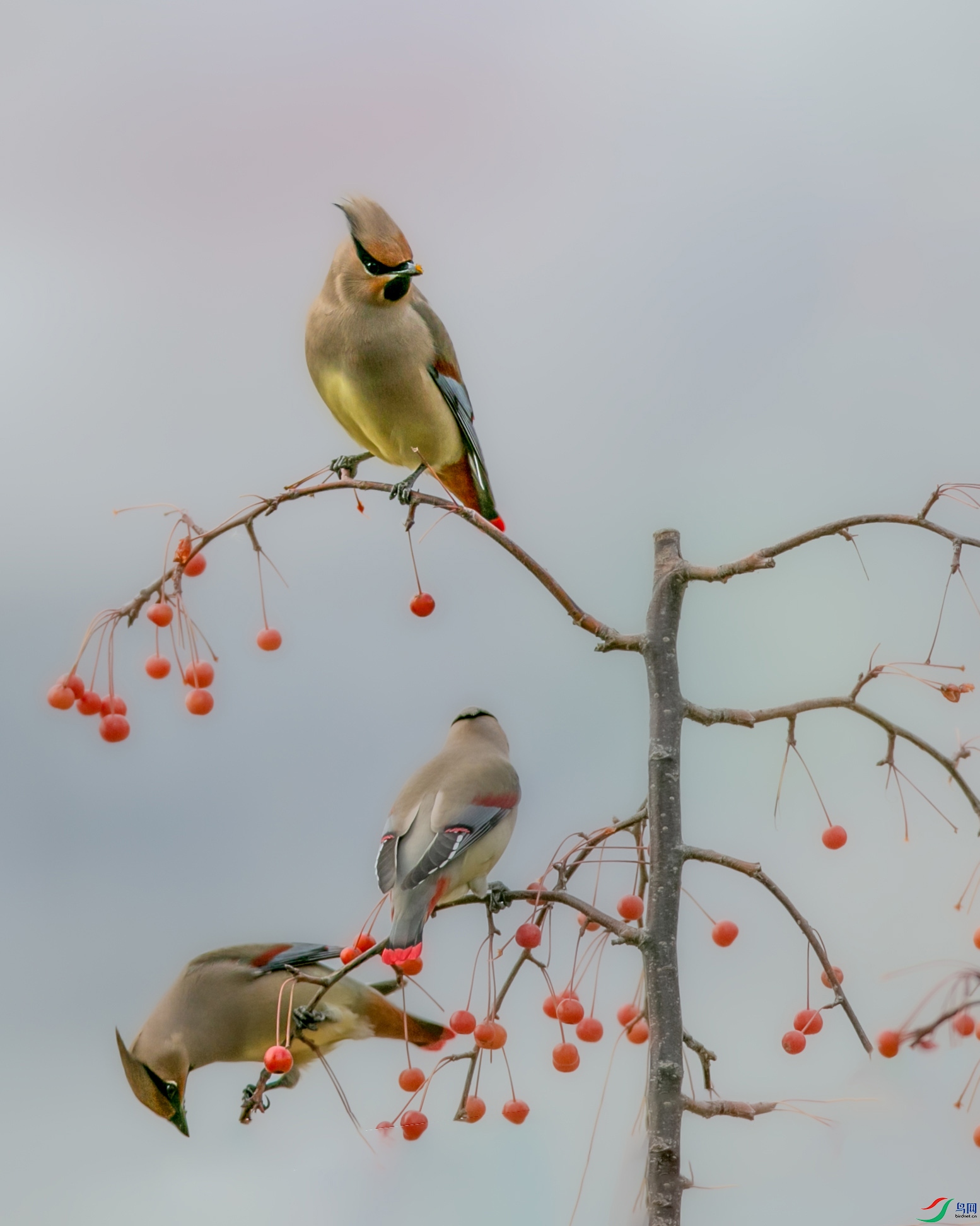 673A0589 ����.jpg