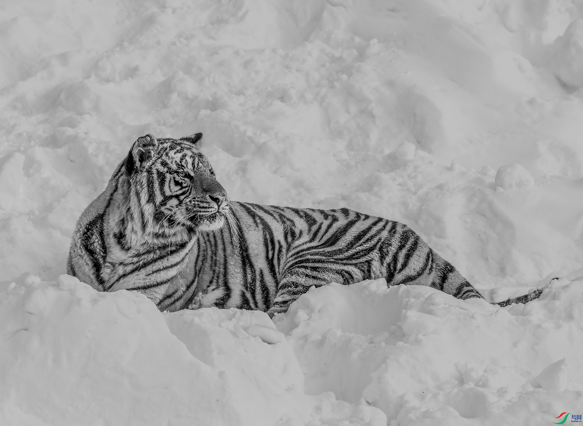 DSC_0021 ���� 2.jpg