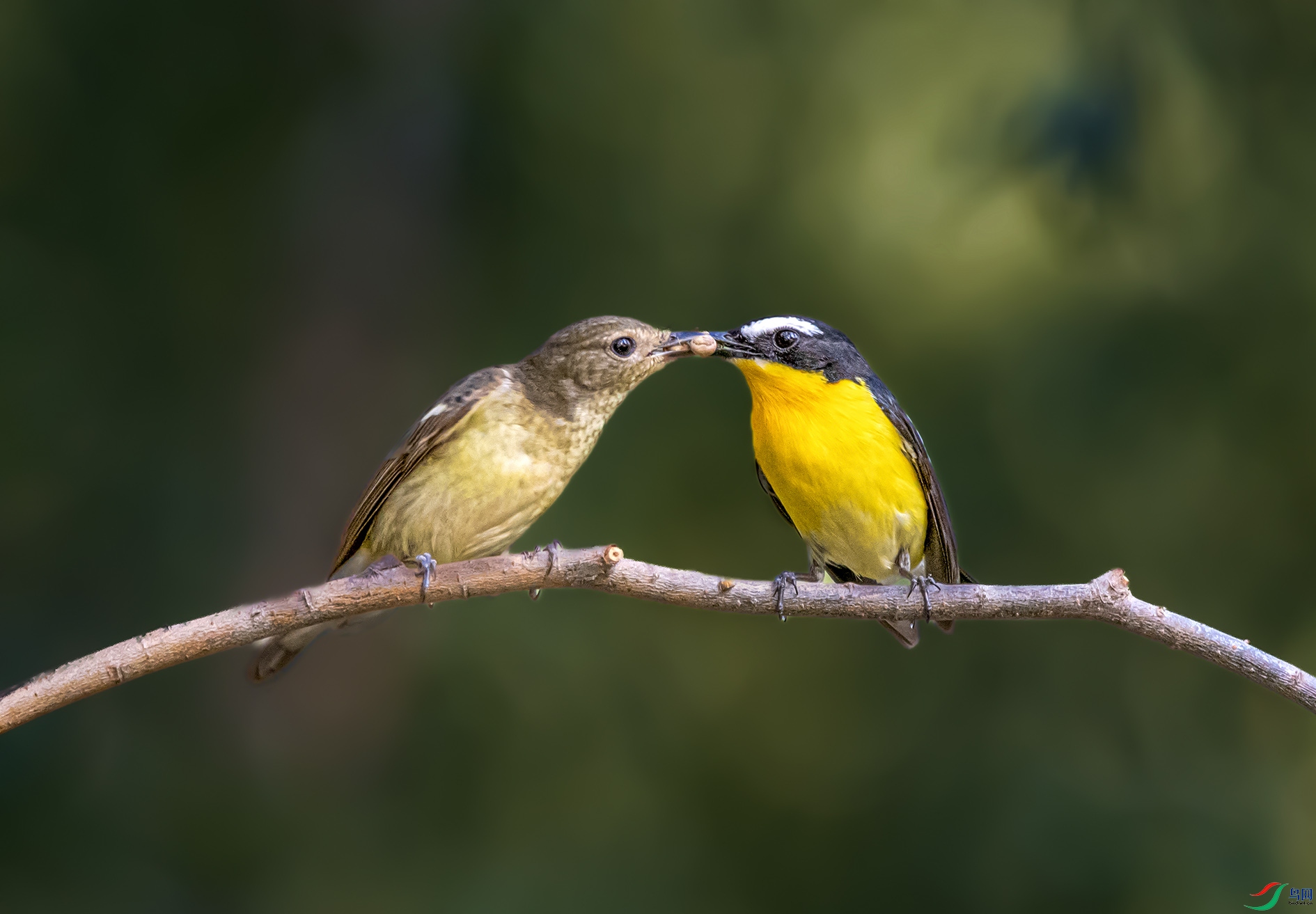 DSC_5329_��ͼ�� ����.jpg