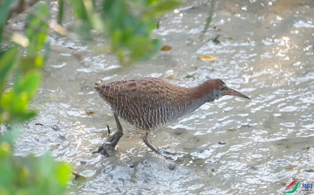 DSCF7944.1.jpg