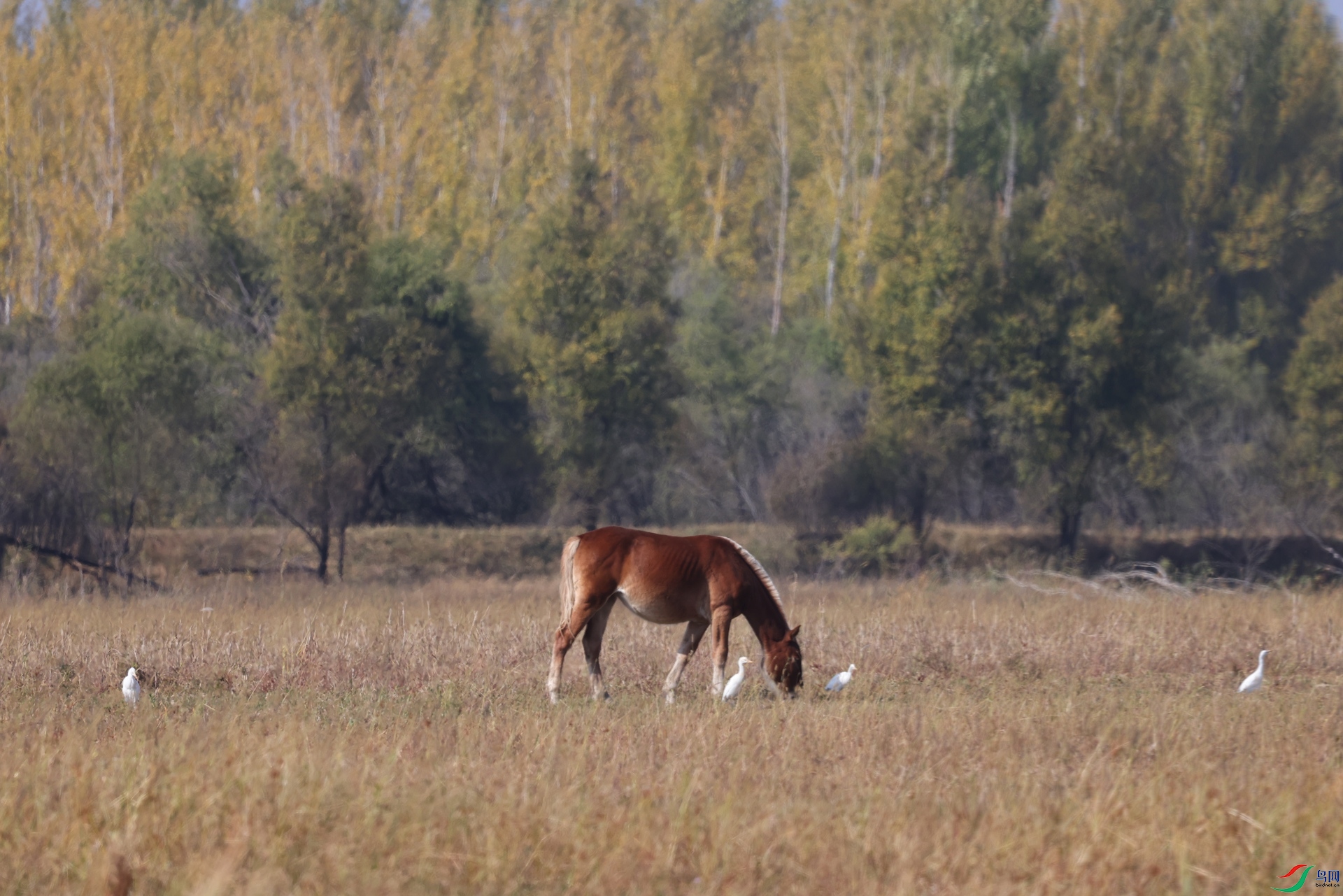 2F5A9445.JPG