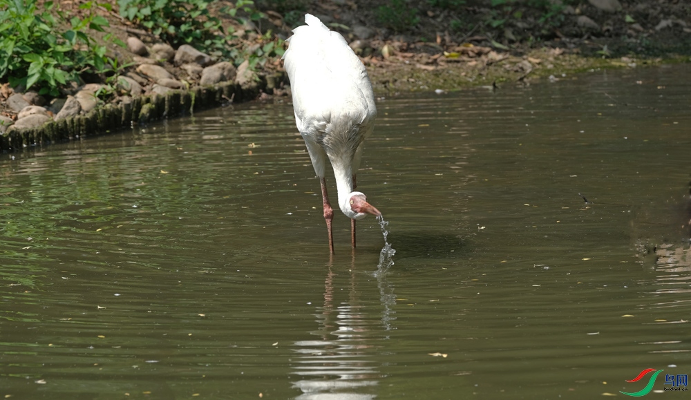 DSCF0795.1.jpg