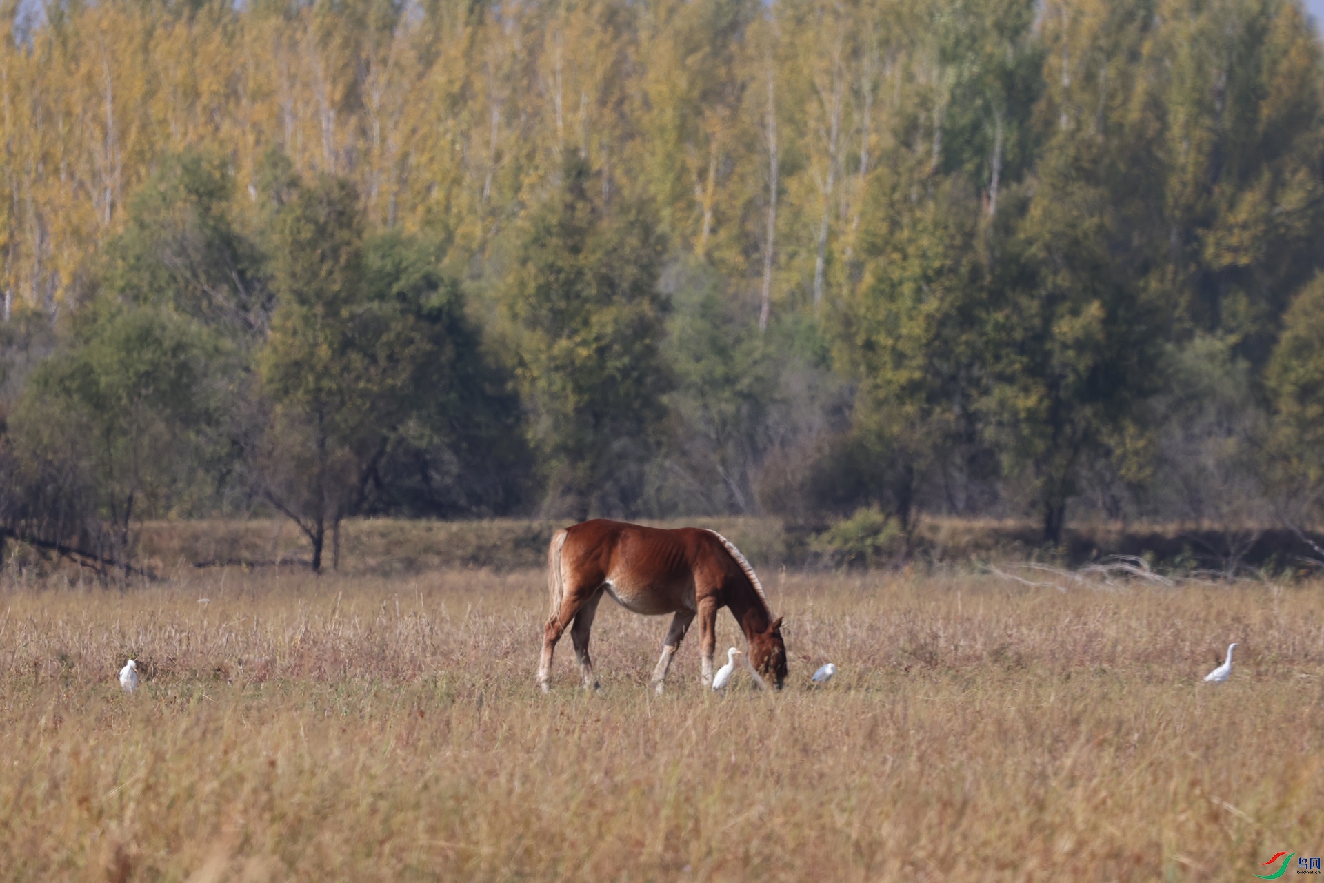 2F5A9442.JPG